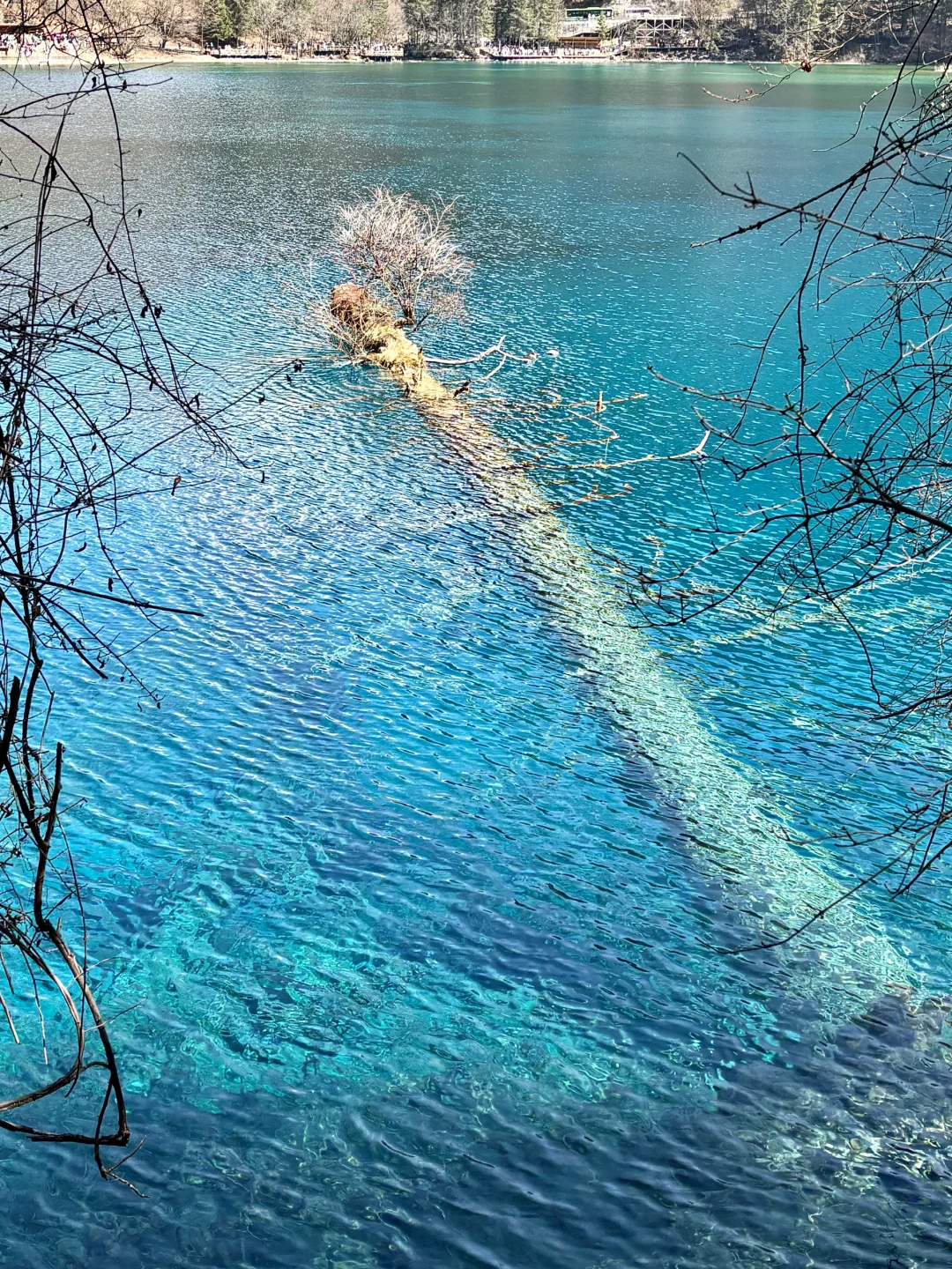 3.8📍我宣布‼这才是九寨沟最美的时刻‼