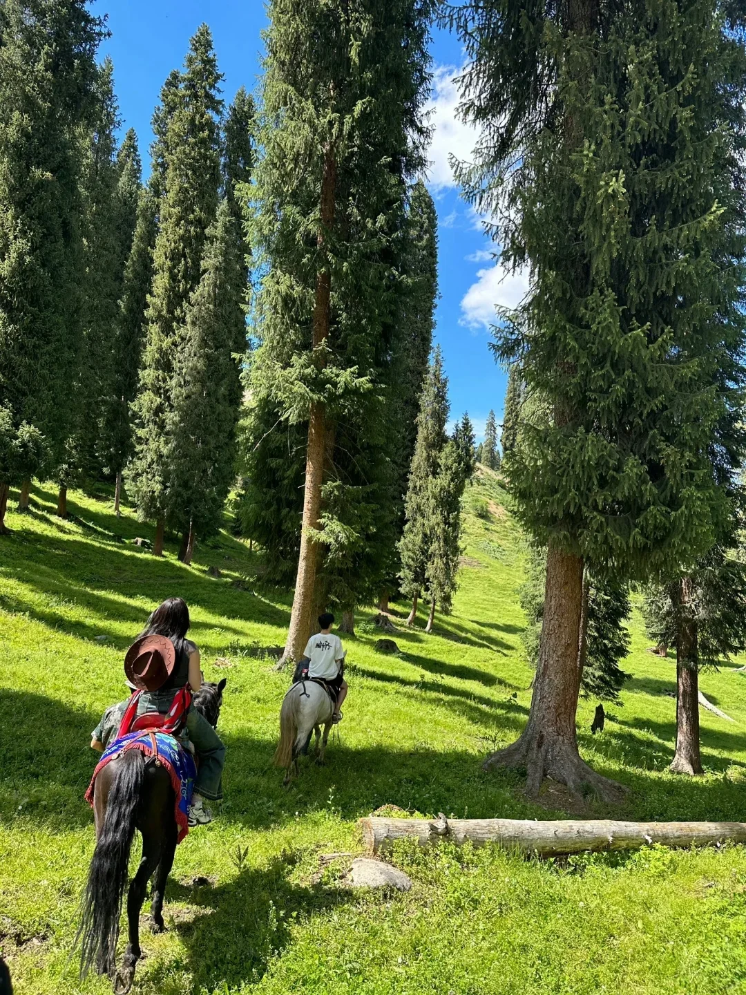 新疆 3- 5月旅游现状😅实话但难听