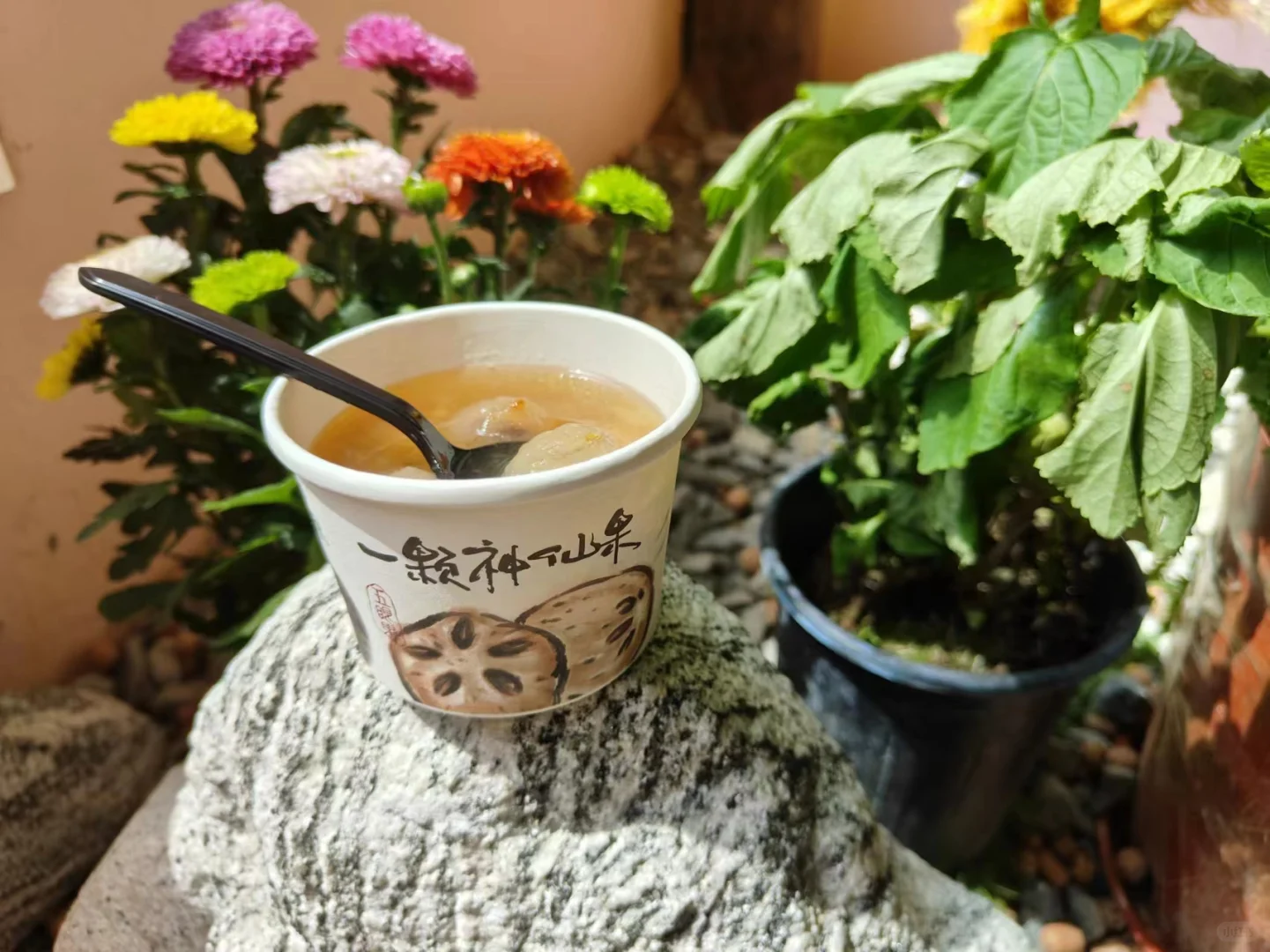 莫非这就是苏轼笔下的天上宫阙！