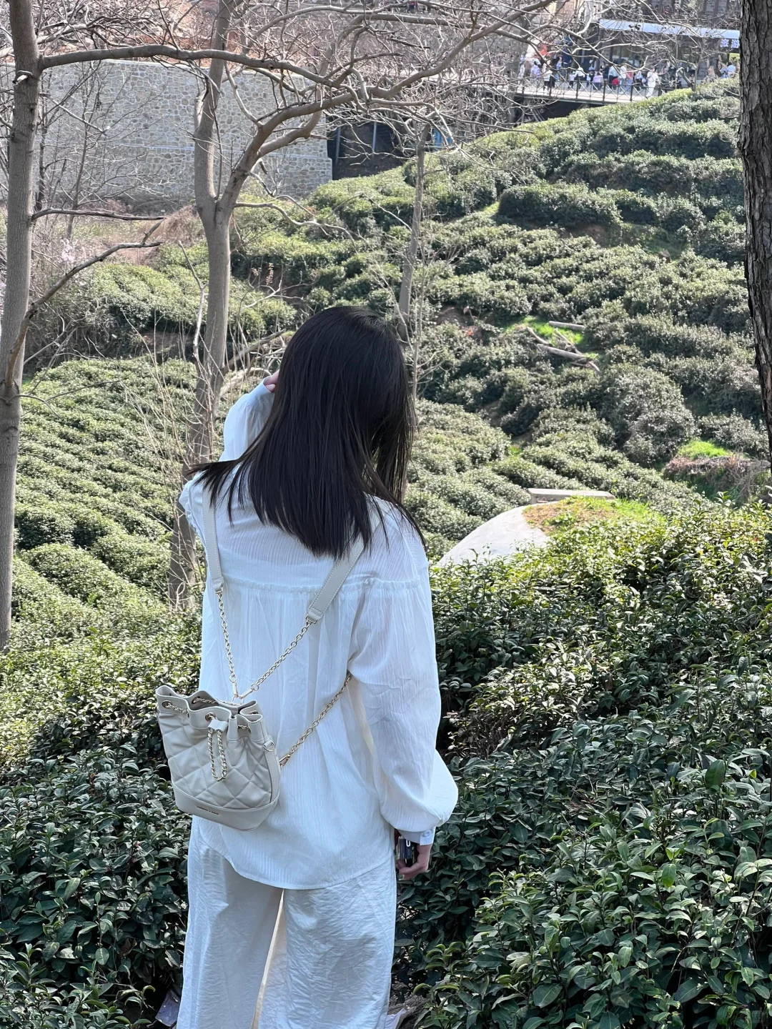 信阳文新茶村一日游🍃