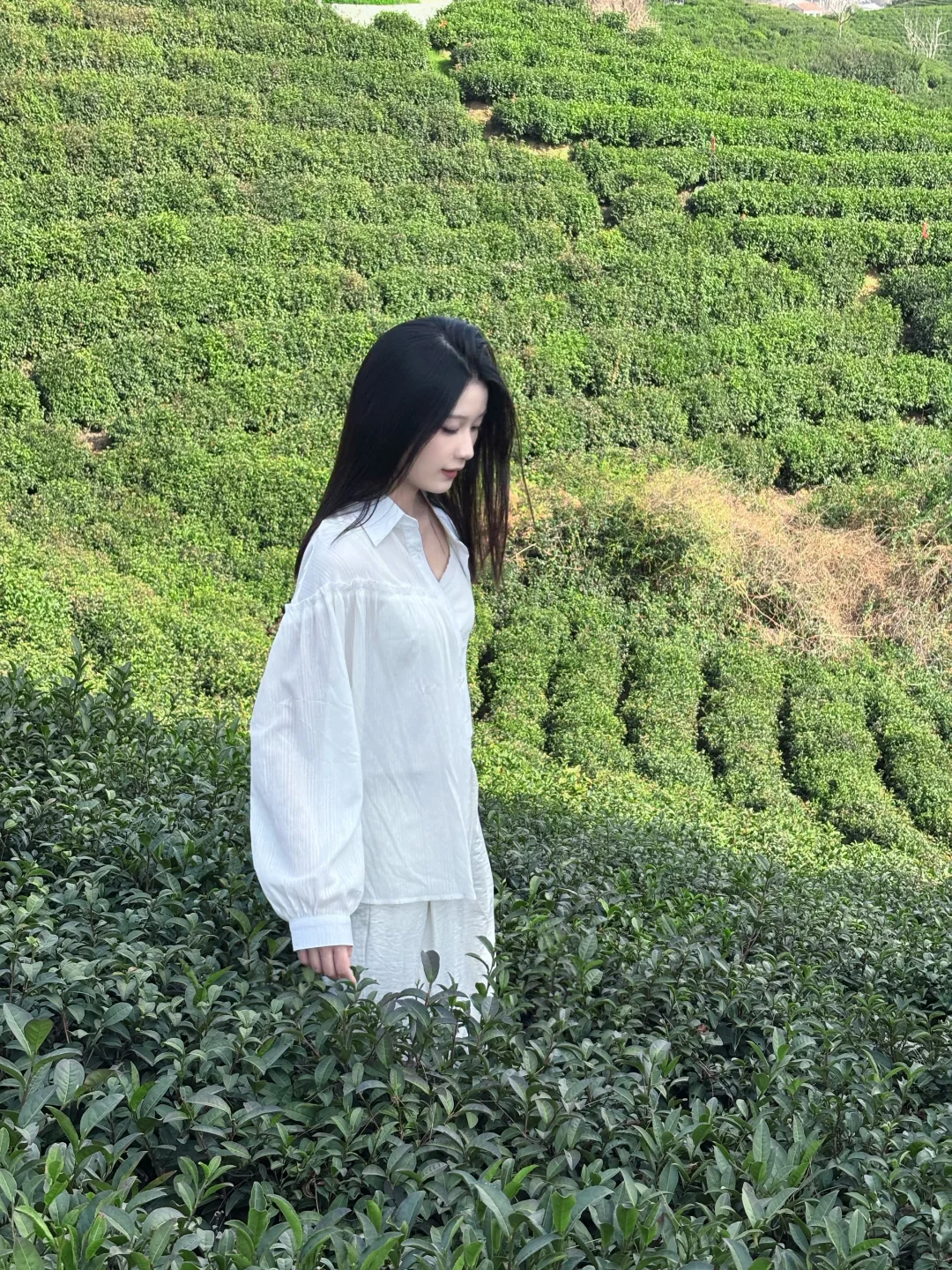 信阳文新茶村一日游🍃