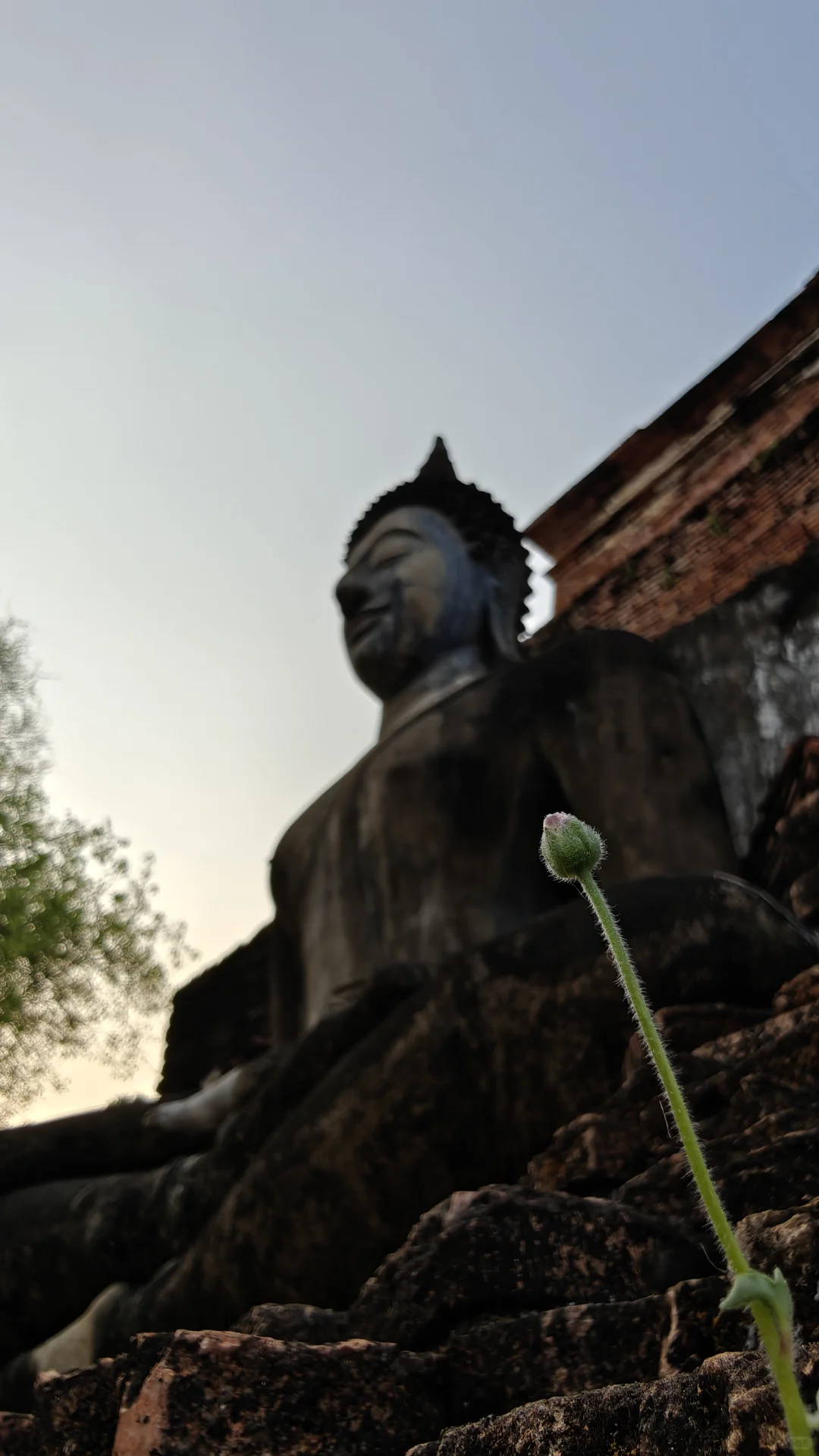 素可泰景区游客精简玩法，一日游还午休