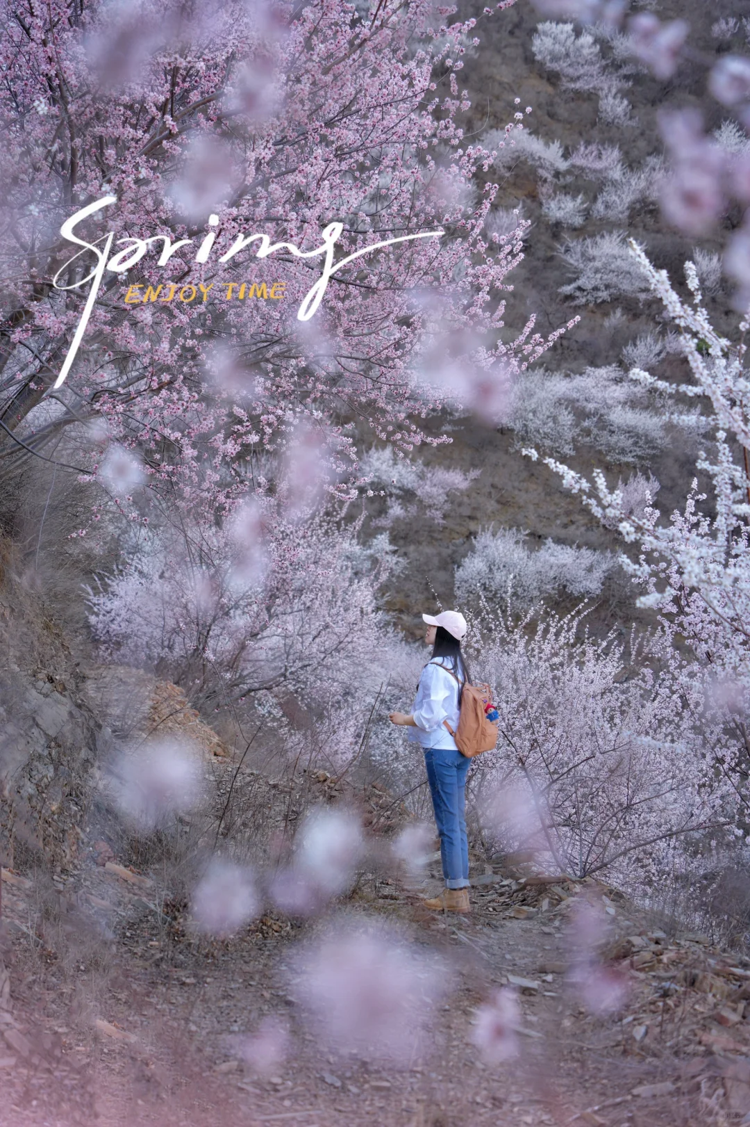 别再挤白虎涧‼️房山小众无人山谷太美🌸