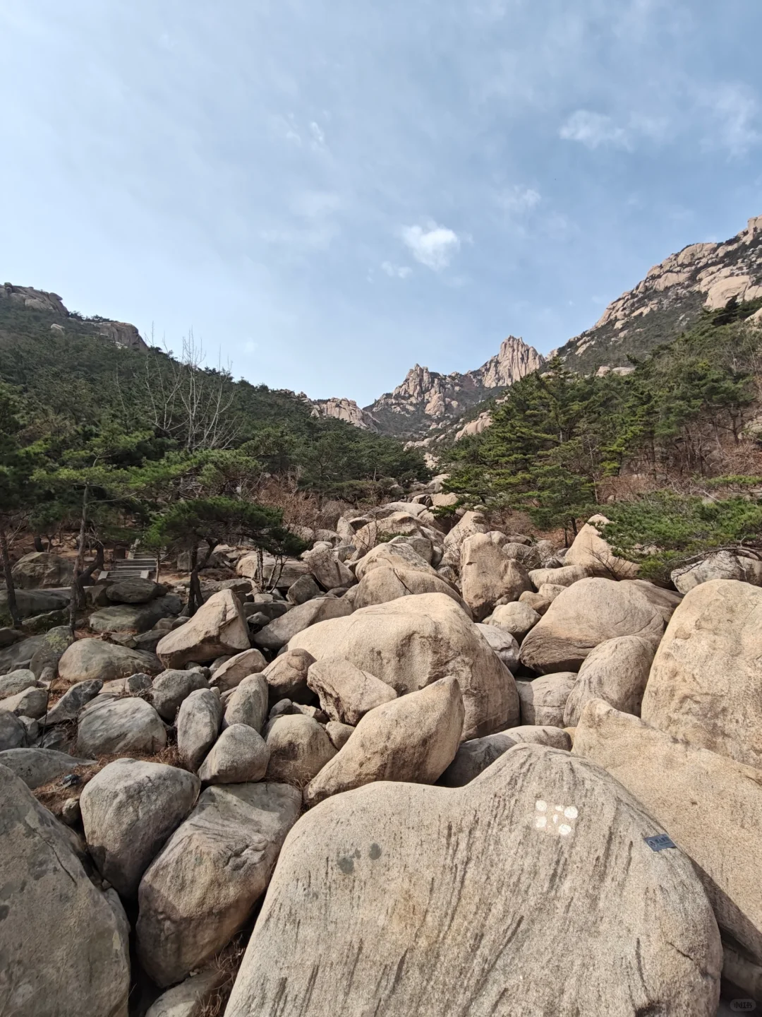 登山真的很快乐～⛰️