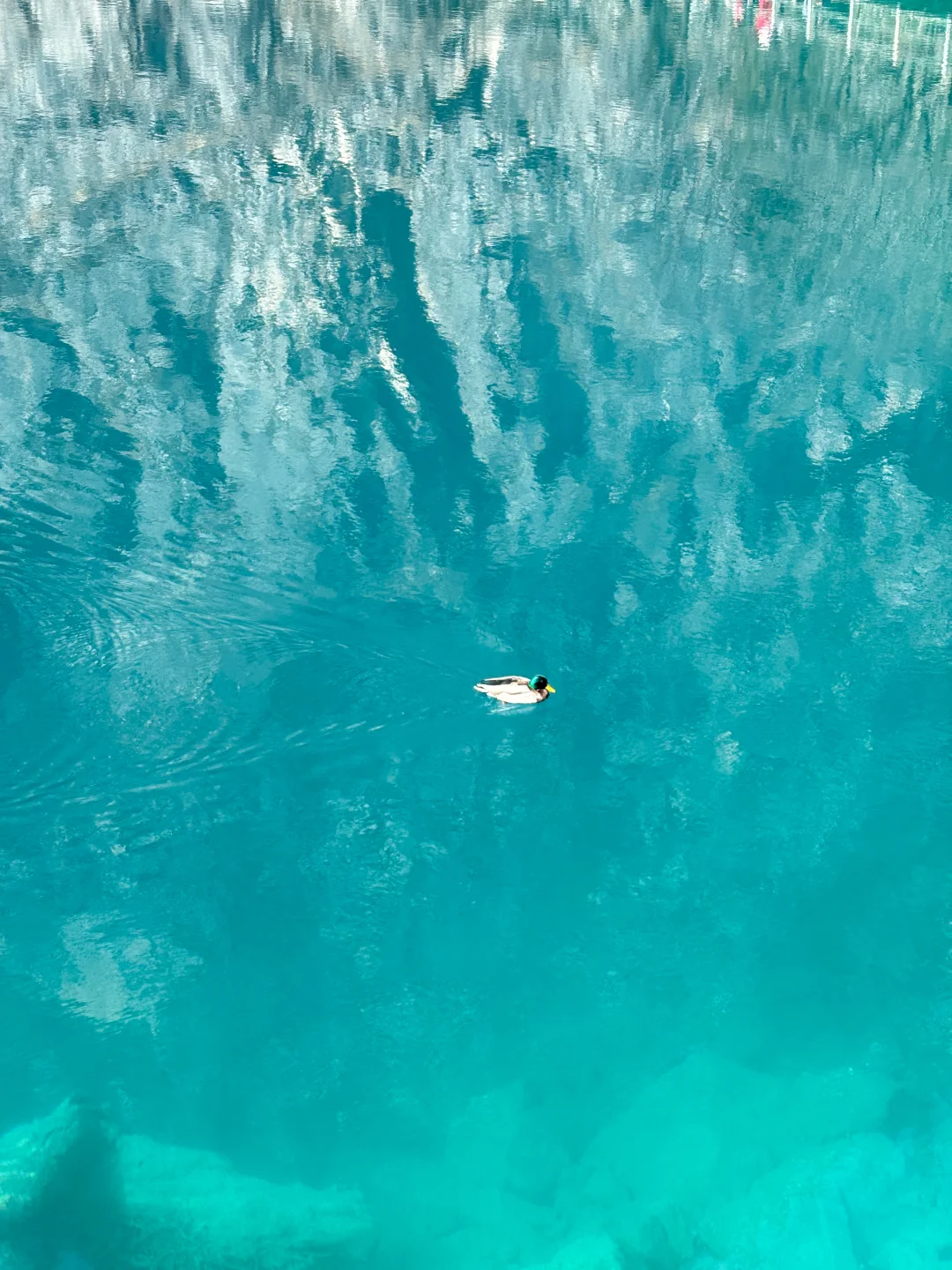 3.8📍我宣布‼这才是九寨沟最美的时刻‼