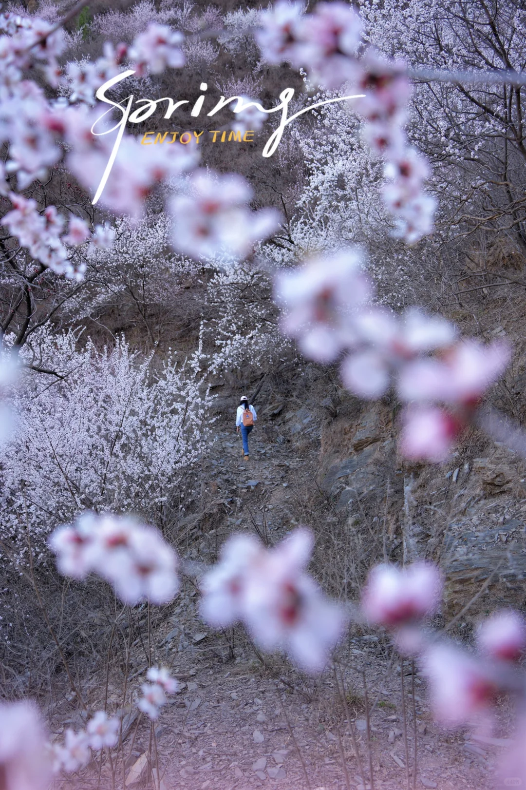 别再挤白虎涧‼️房山小众无人山谷太美🌸