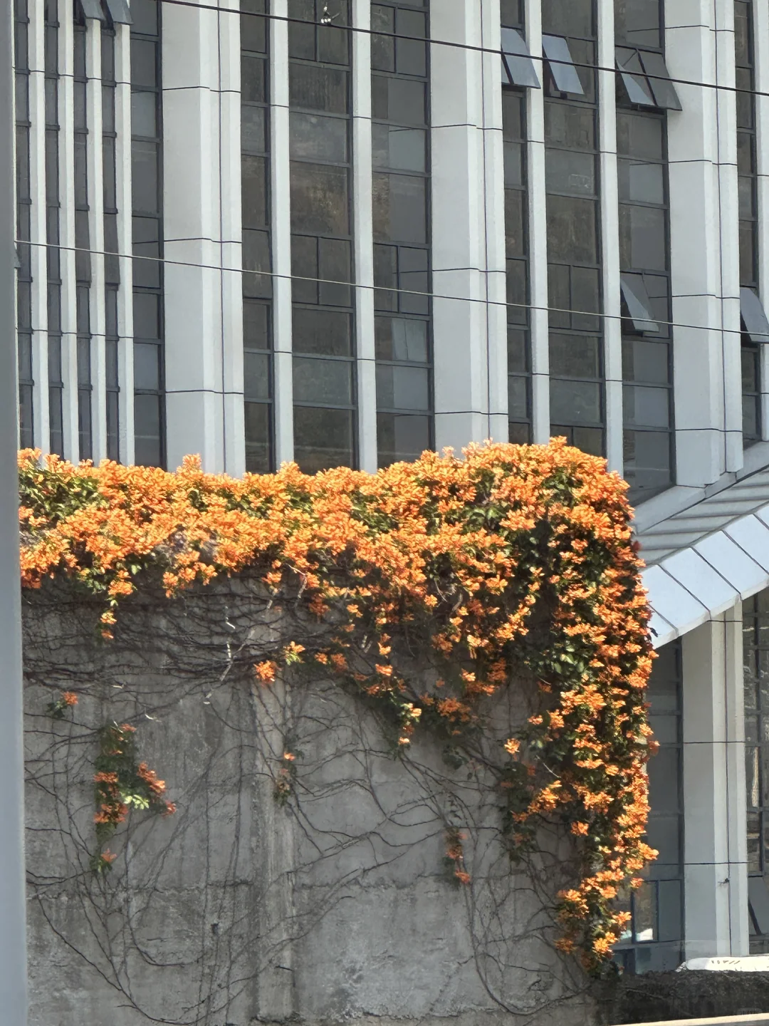 一去一个不吱声