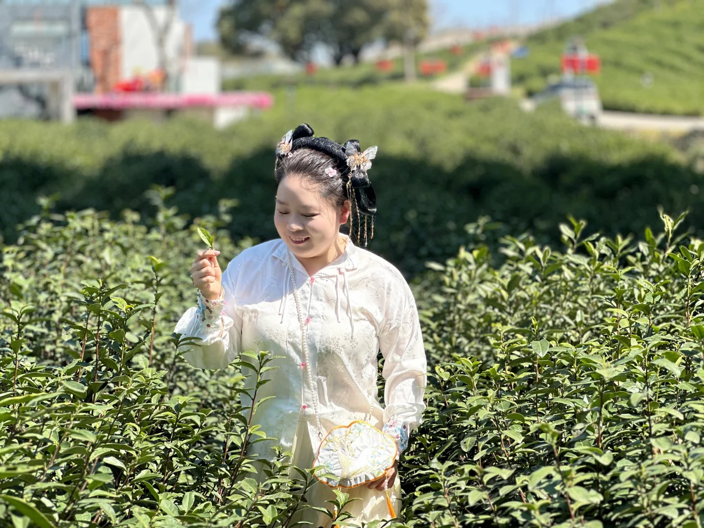 趁现在❗️来海盐丰义看油菜花吧~