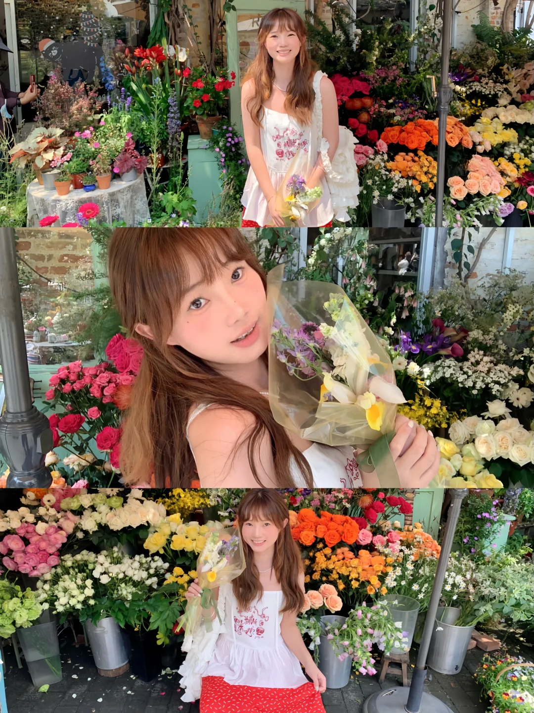 🐈.𓈒𓂂𓈒𓍼💐广州有小猫的花院太浪漫啦！