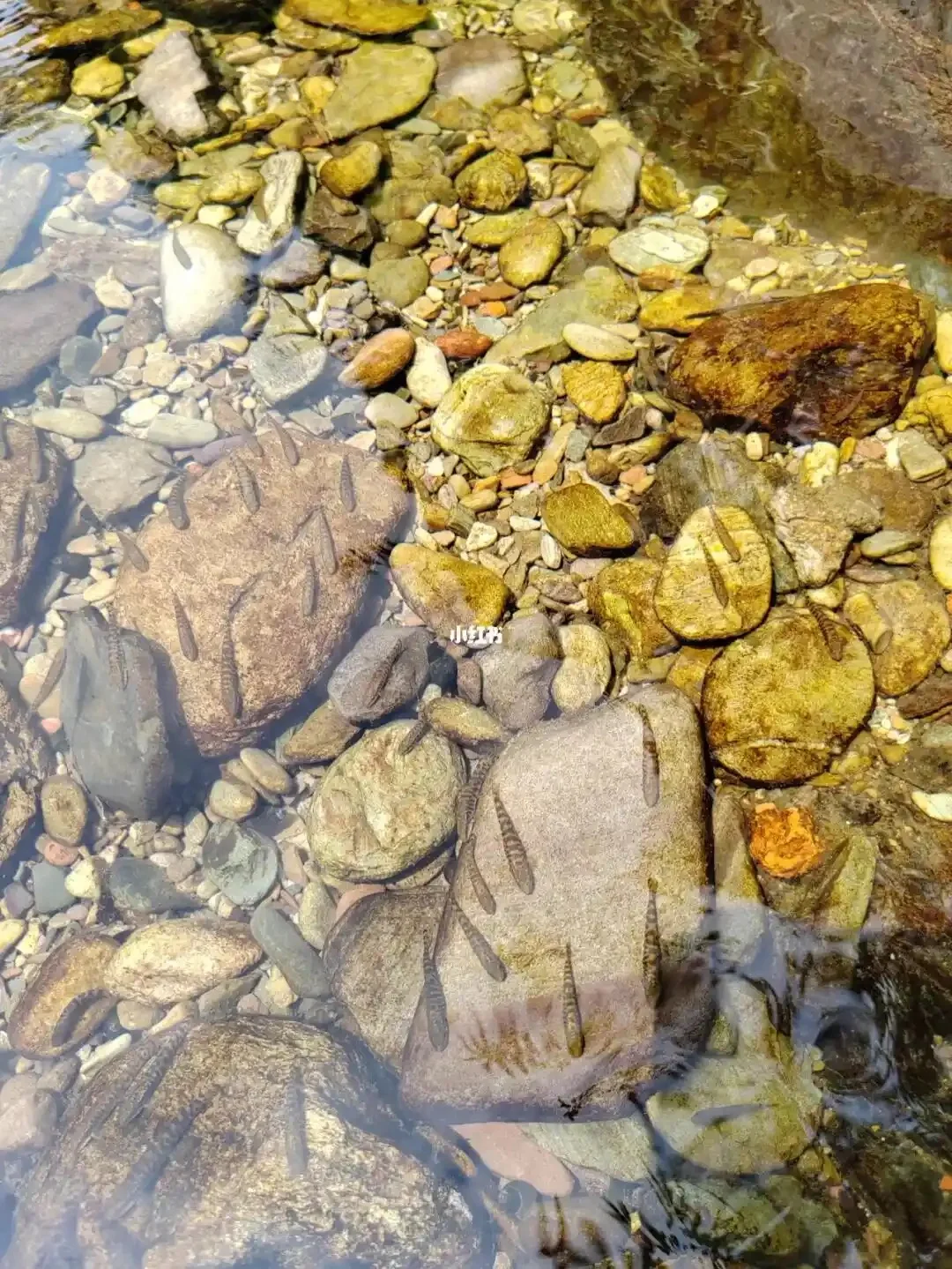 京郊适合溯溪抓鱼的6条绝美路线推荐