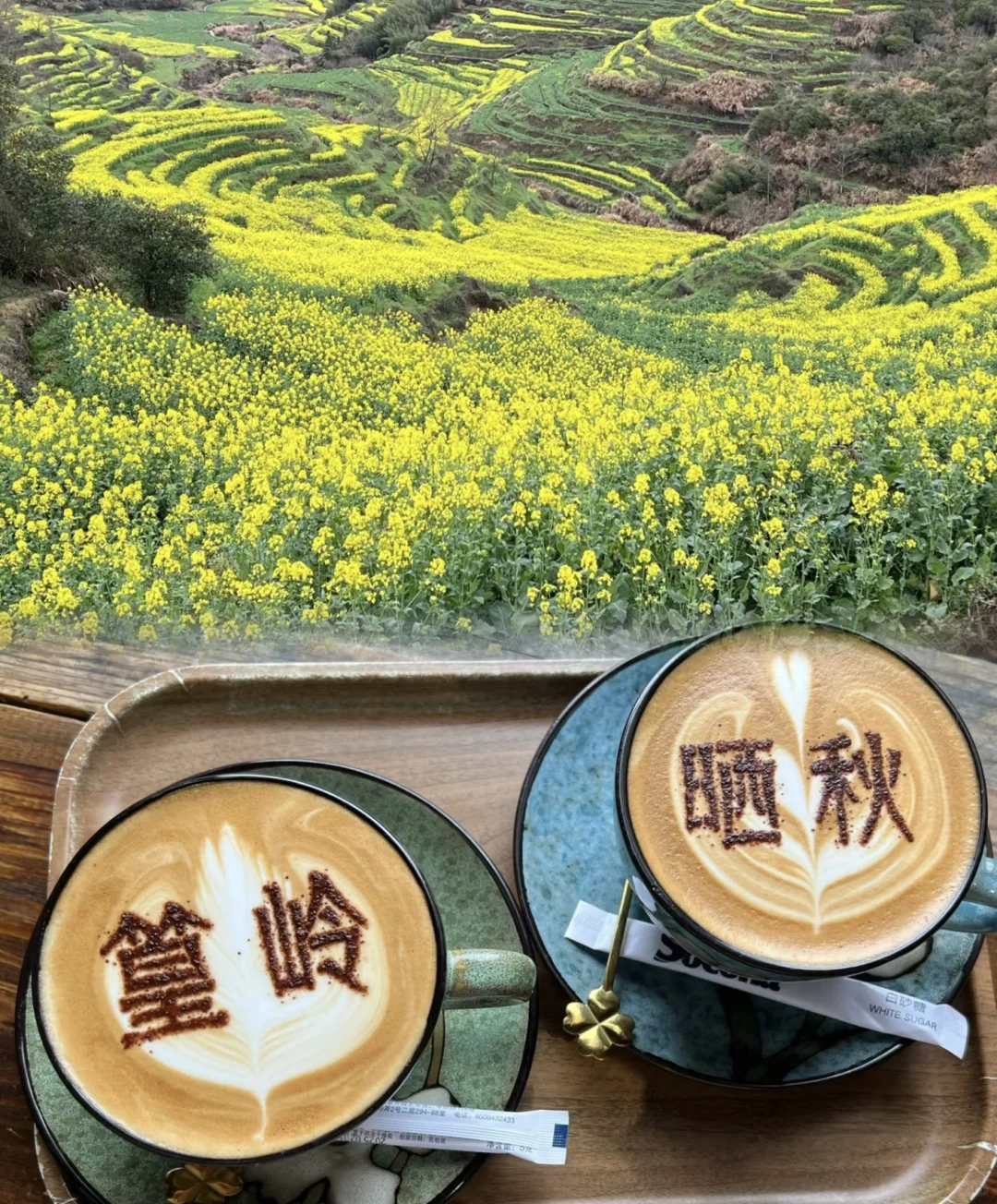 春天怎么能不来婺源看油菜花呢