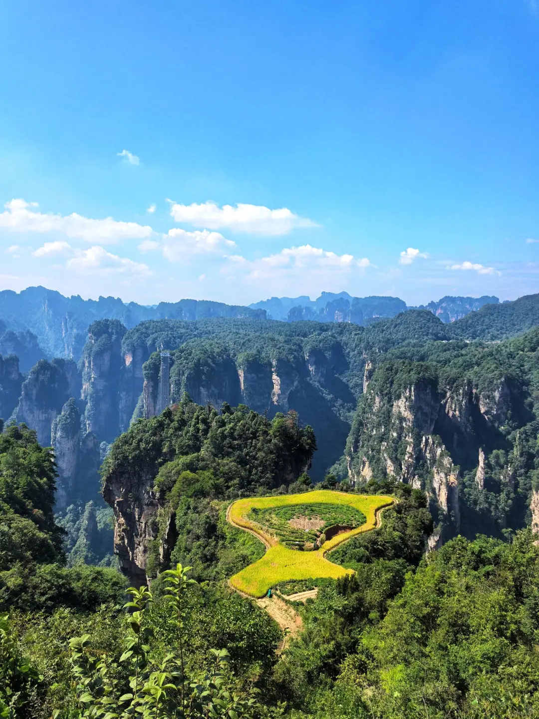 我很少用壮观来形容一个地方