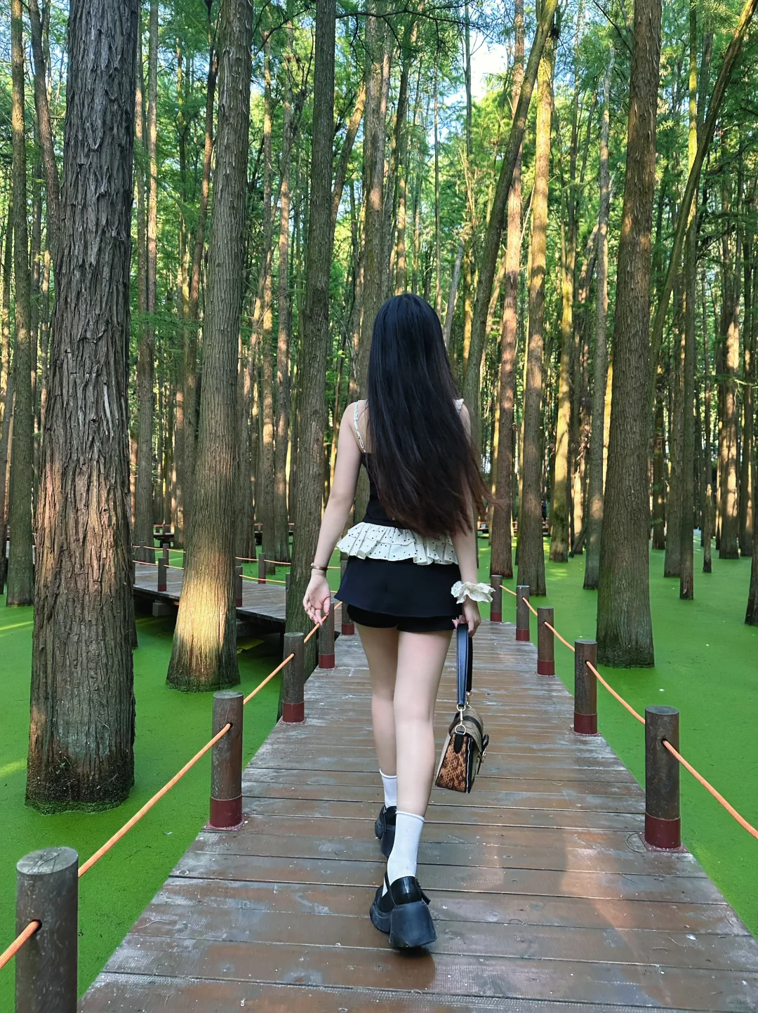 杭州青山湖🌳绝美!!!随手一拍就是大片!📸