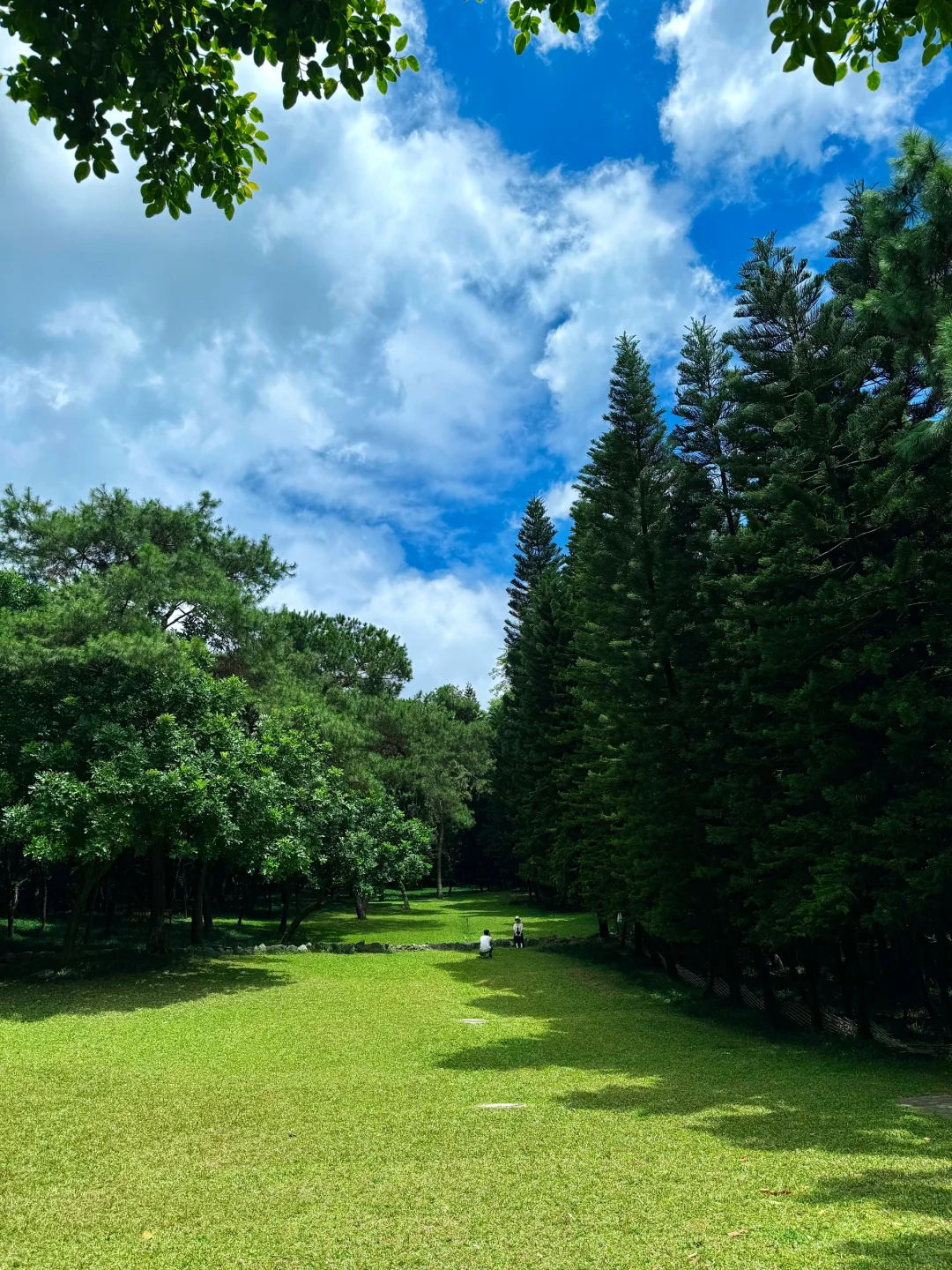 南宁最美的地方都是免费的（live合集）