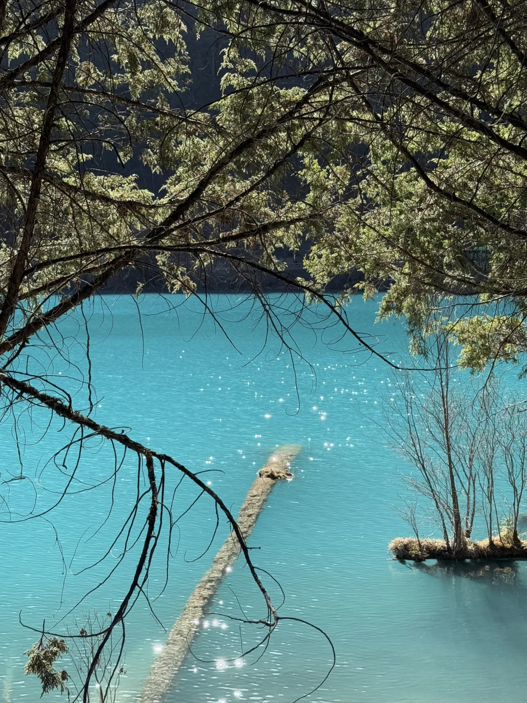 3.25📍九寨沟真实现状😭淡季人也不少啊
