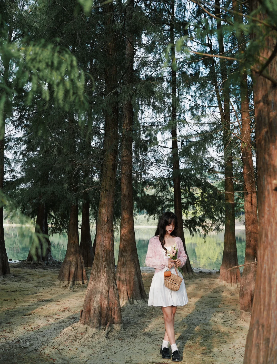 南宁最美的地方都是免费的（live合集）