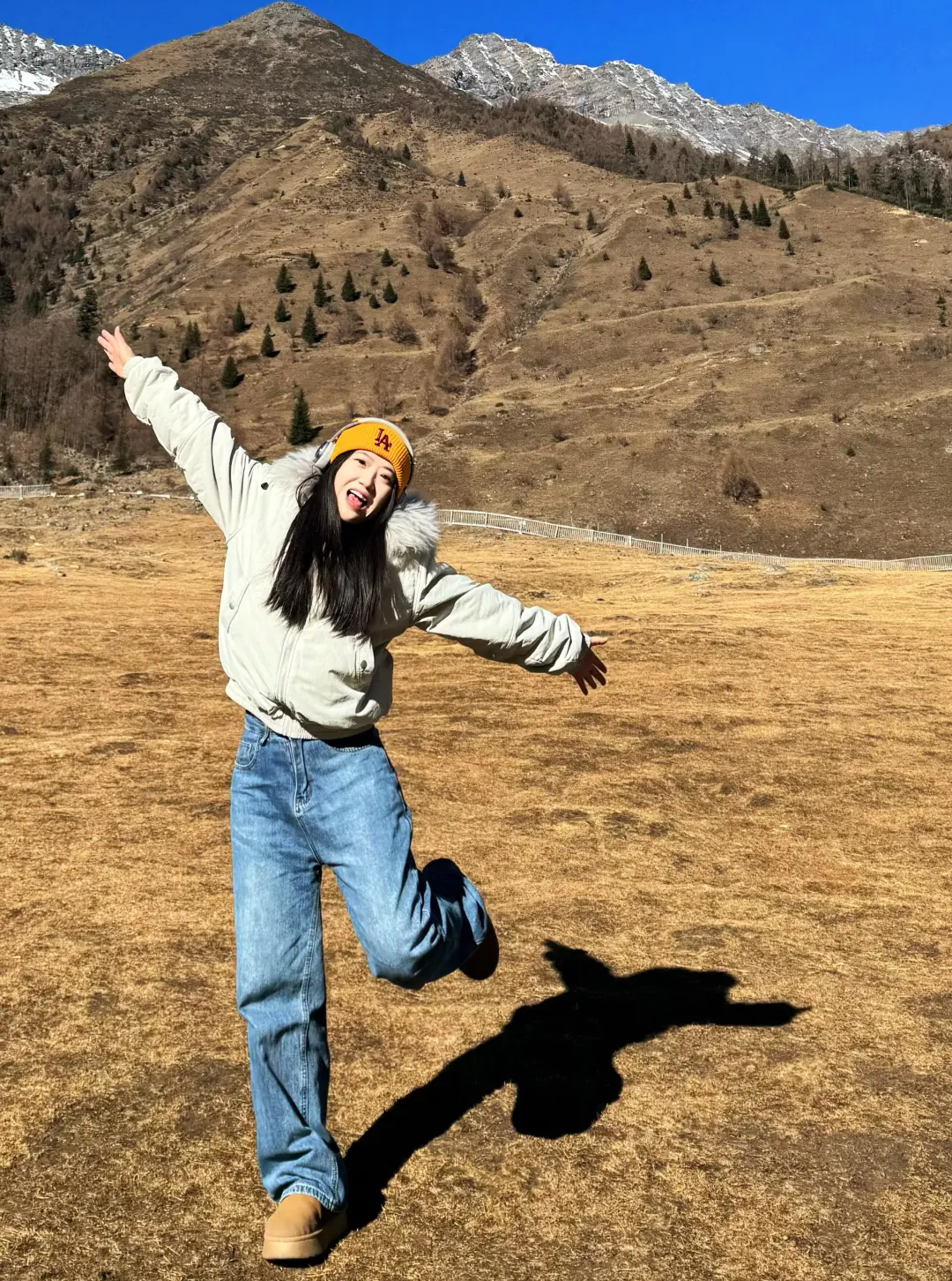 川西受罪已回,我的建议是。。。