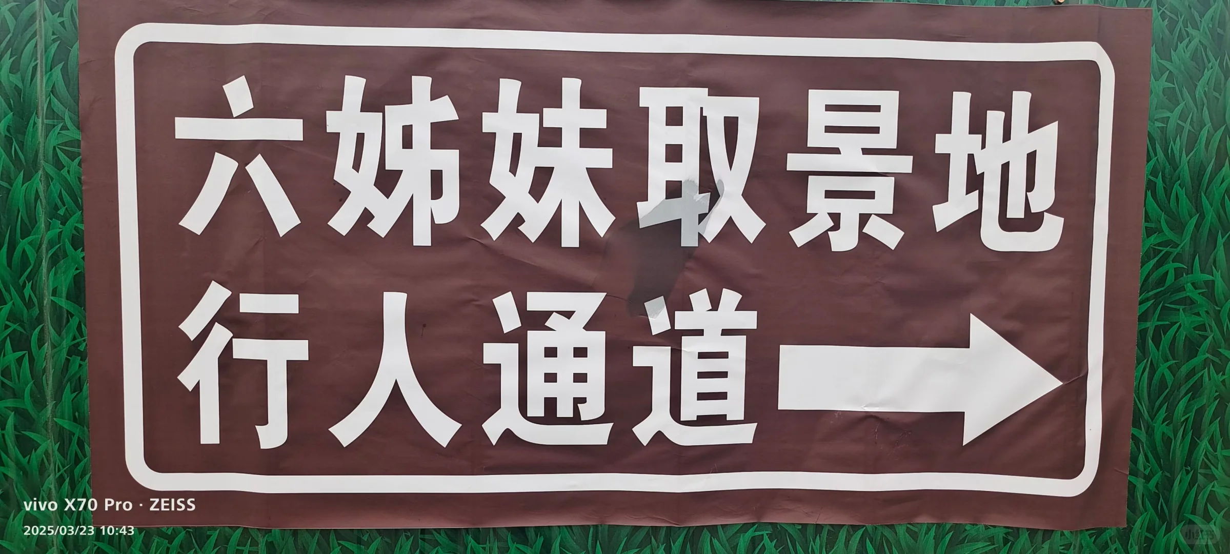 3月23日淮南九龙岗一日游