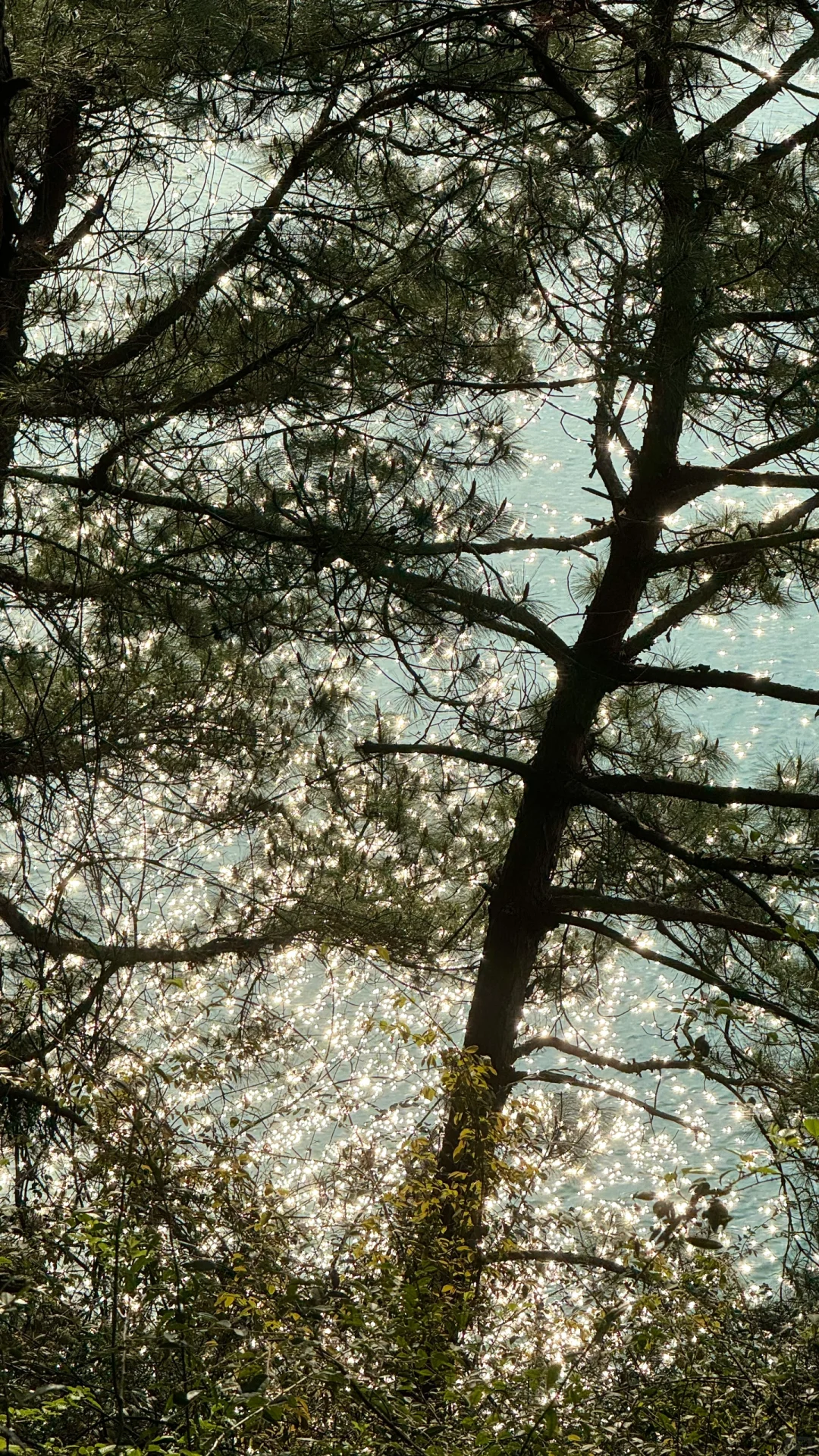 郴州｜白廊是什么神仙地方！真的太舒服了～～