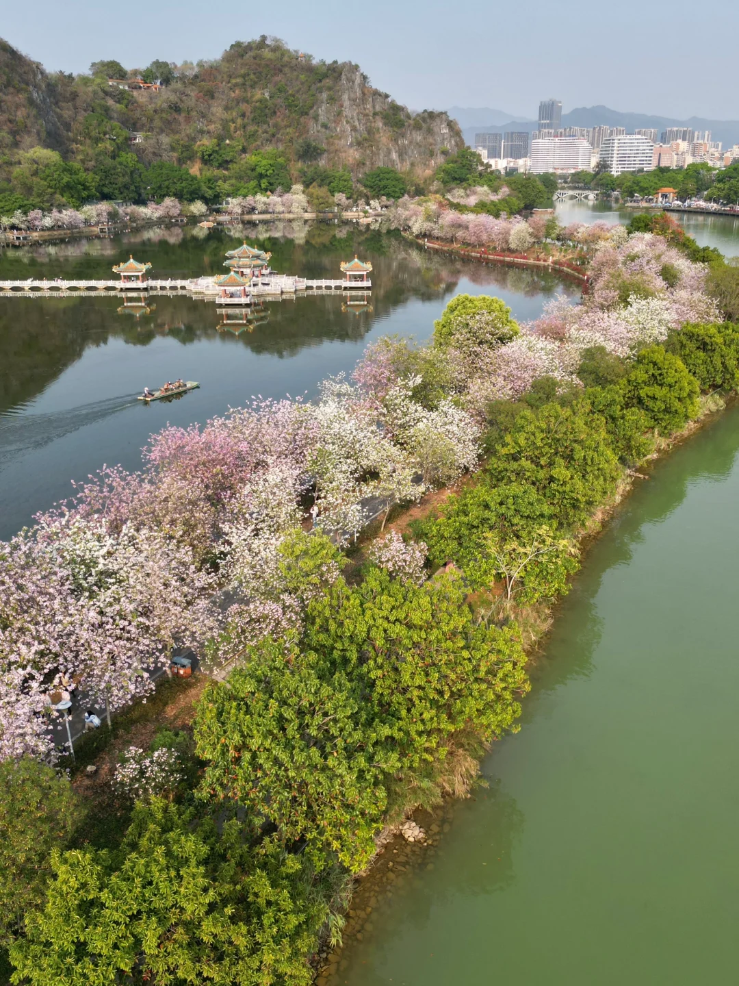 肇庆七星岩春日赏花季