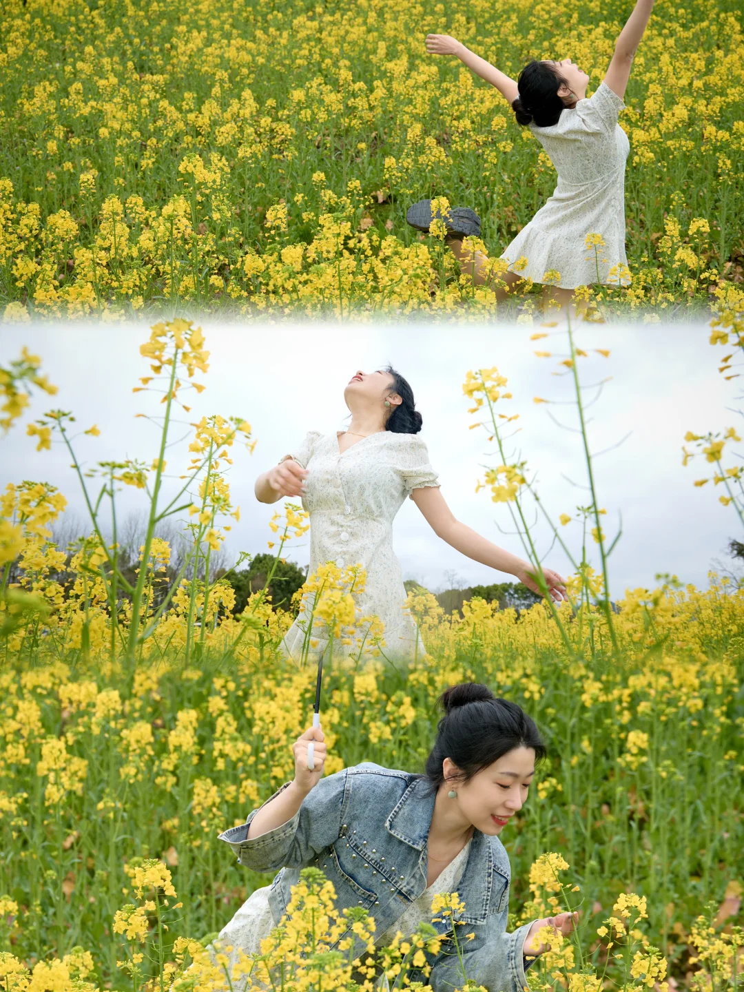 在宏村！！油菜花不用再去婺源啦！！