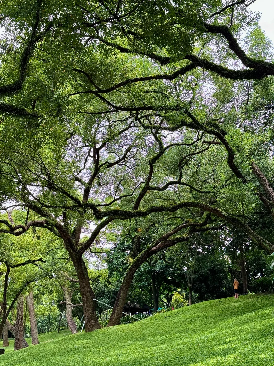 南宁最美的地方都是免费的（live合集）