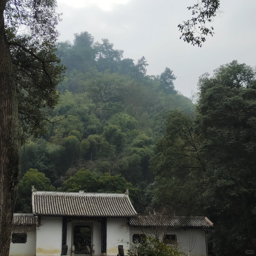 📍桃花源出行攻略