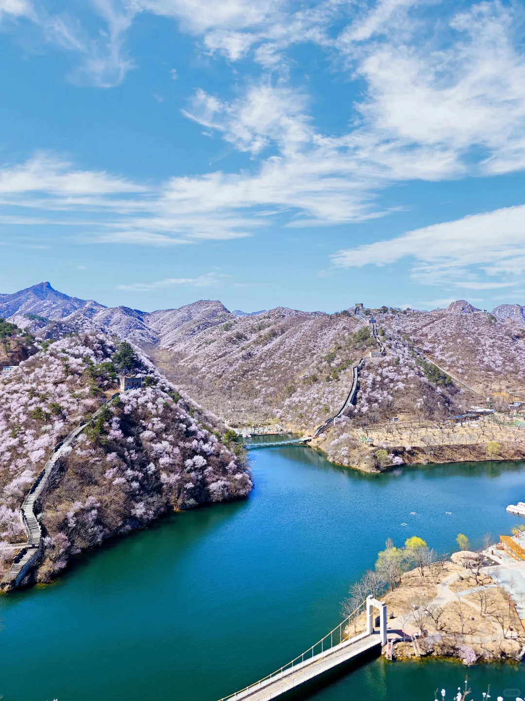 3.24实拍丨在北京我找到了林芝的平替