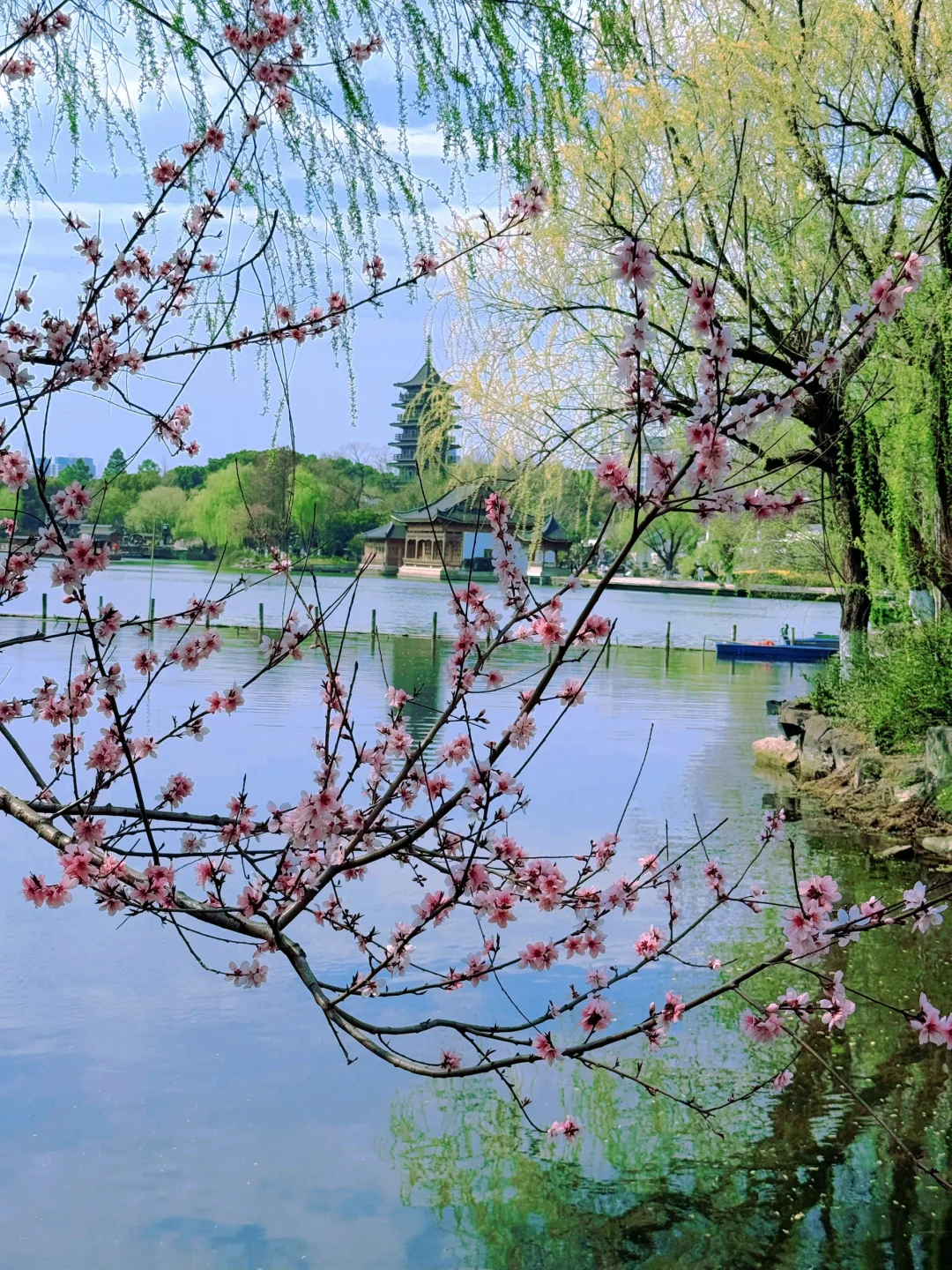 踏青赏花，上海周边人少景美的诗意画卷