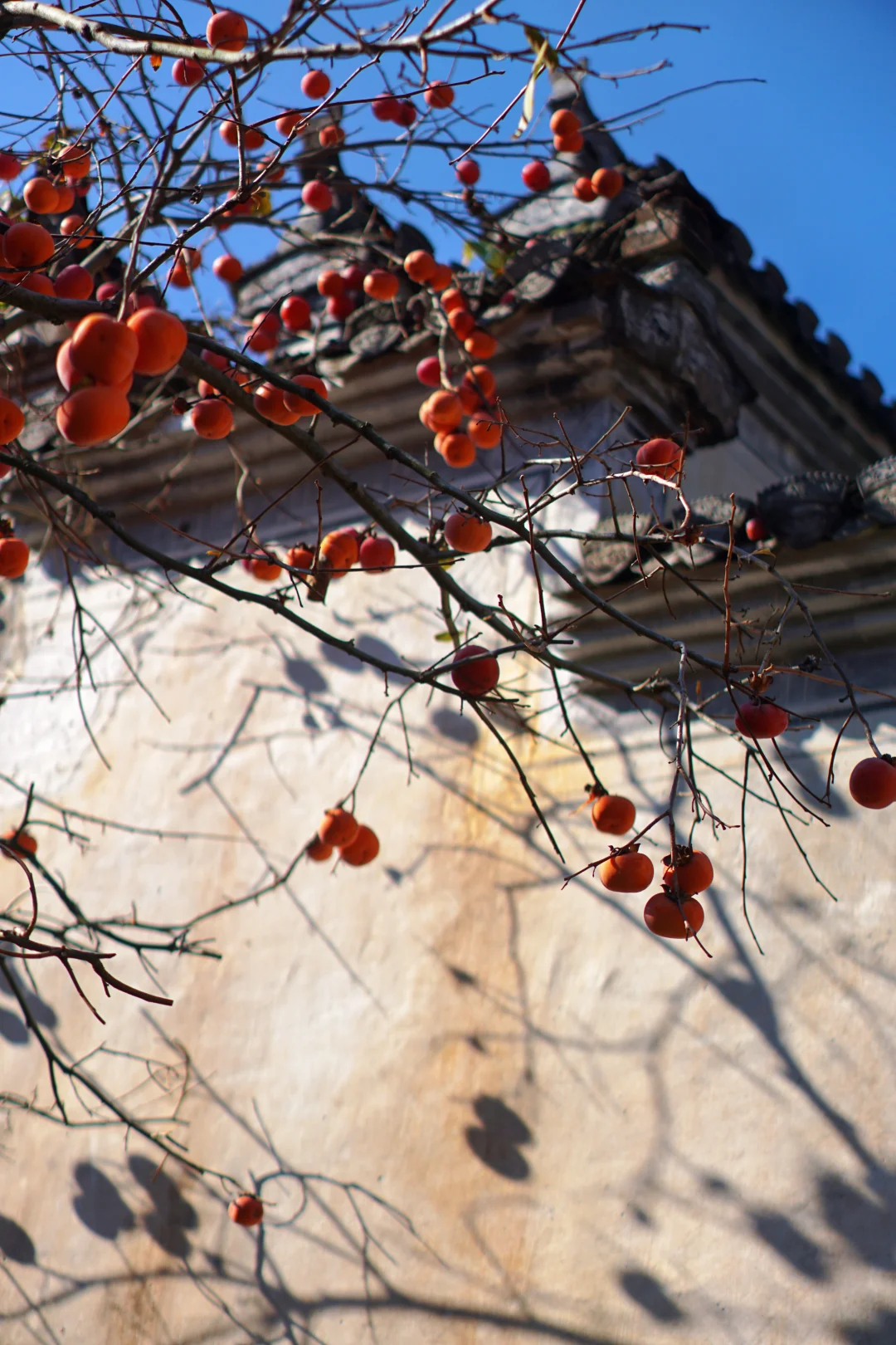 📍终于来到了国家地理上最美的村落