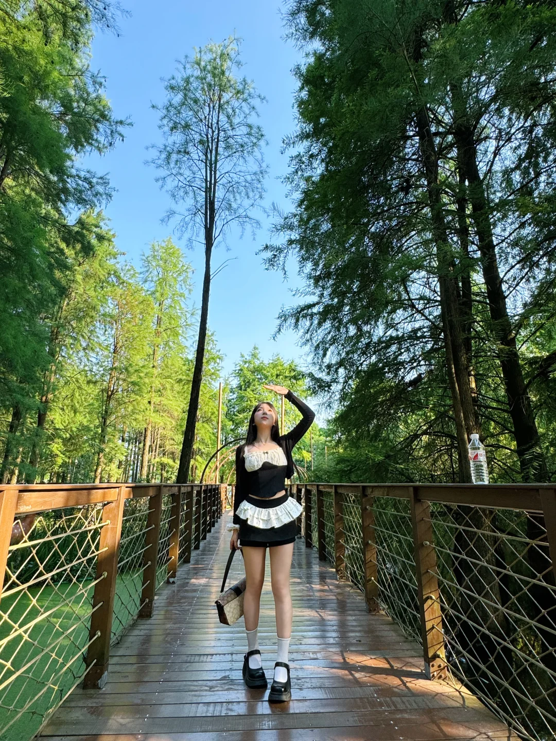 杭州青山湖🌳绝美!!!随手一拍就是大片!📸