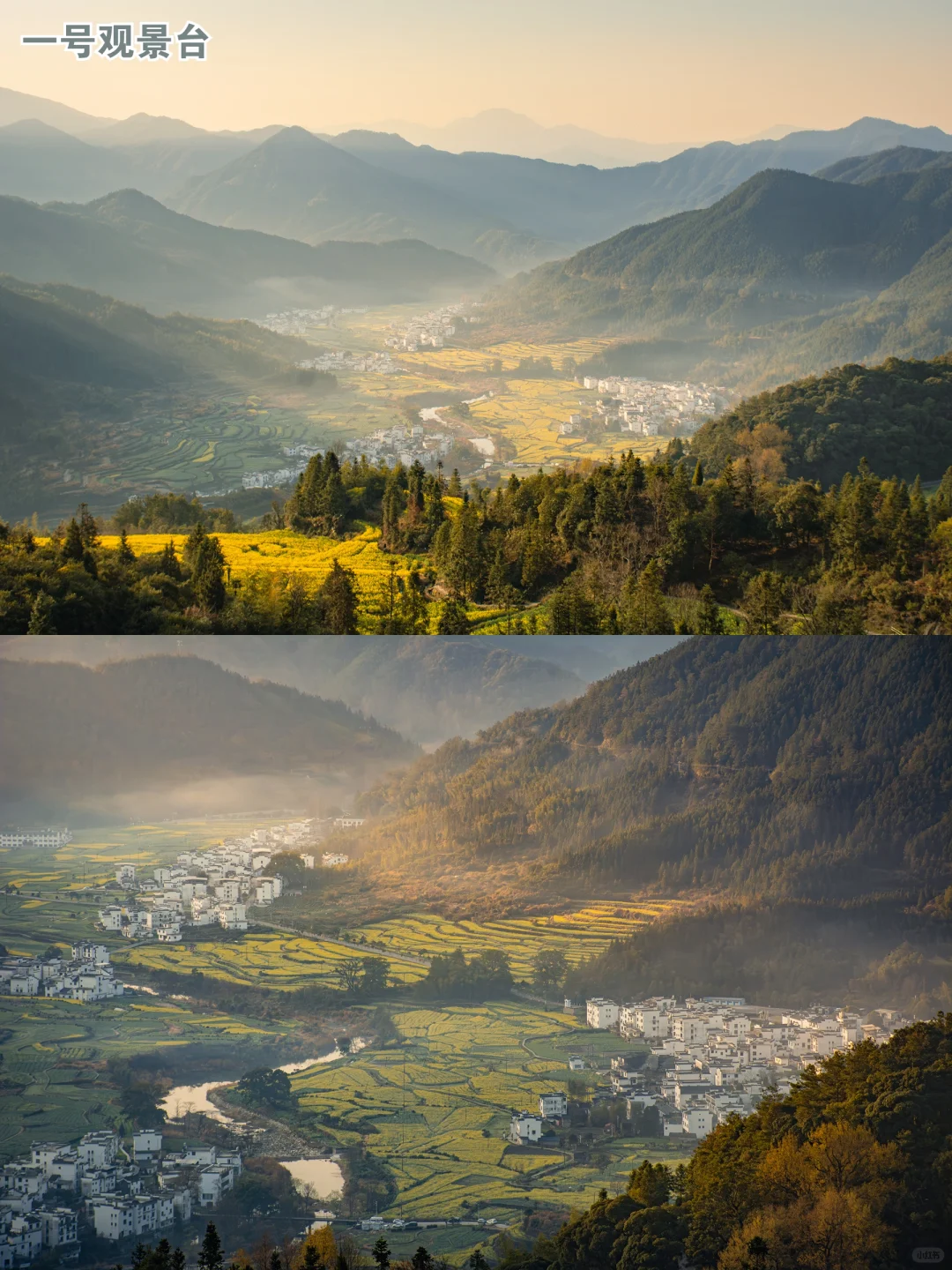 堵车上不去？婺源江岭的打开方式应该是这样！