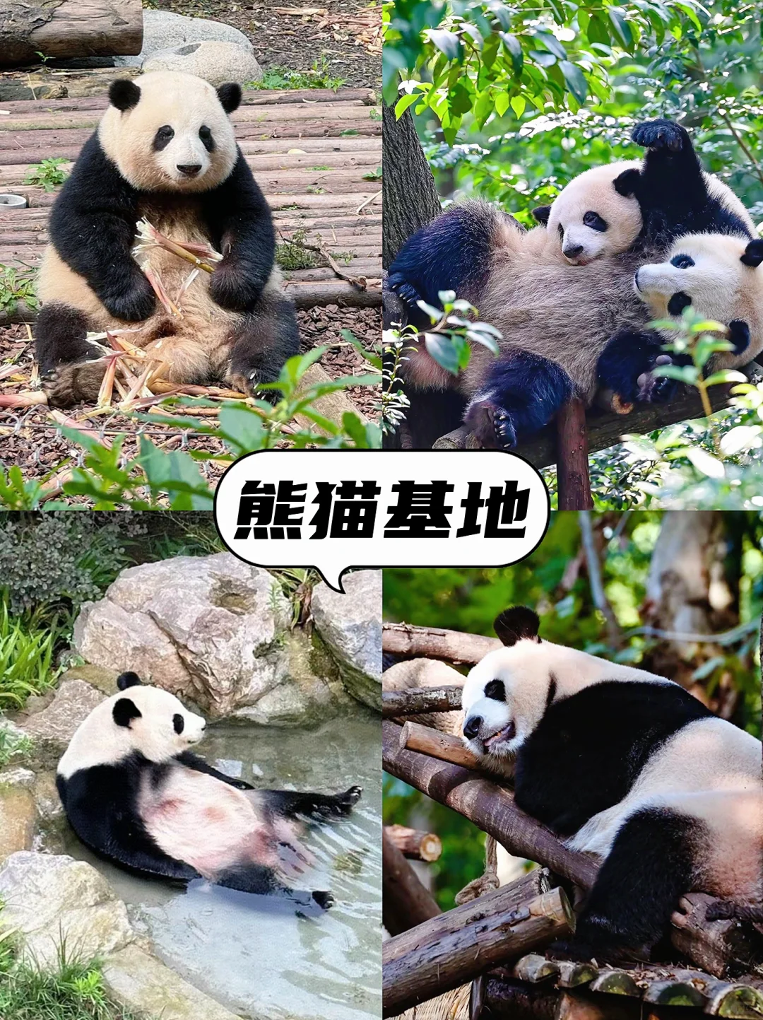 出门旅游做个攻略都这么累😭还不如定制游！