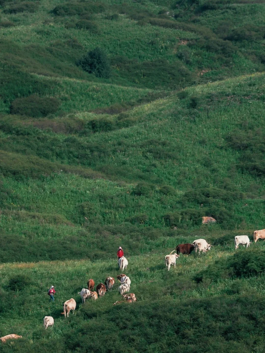 山西拍了拍你,邀请你来上春“山”⛰️