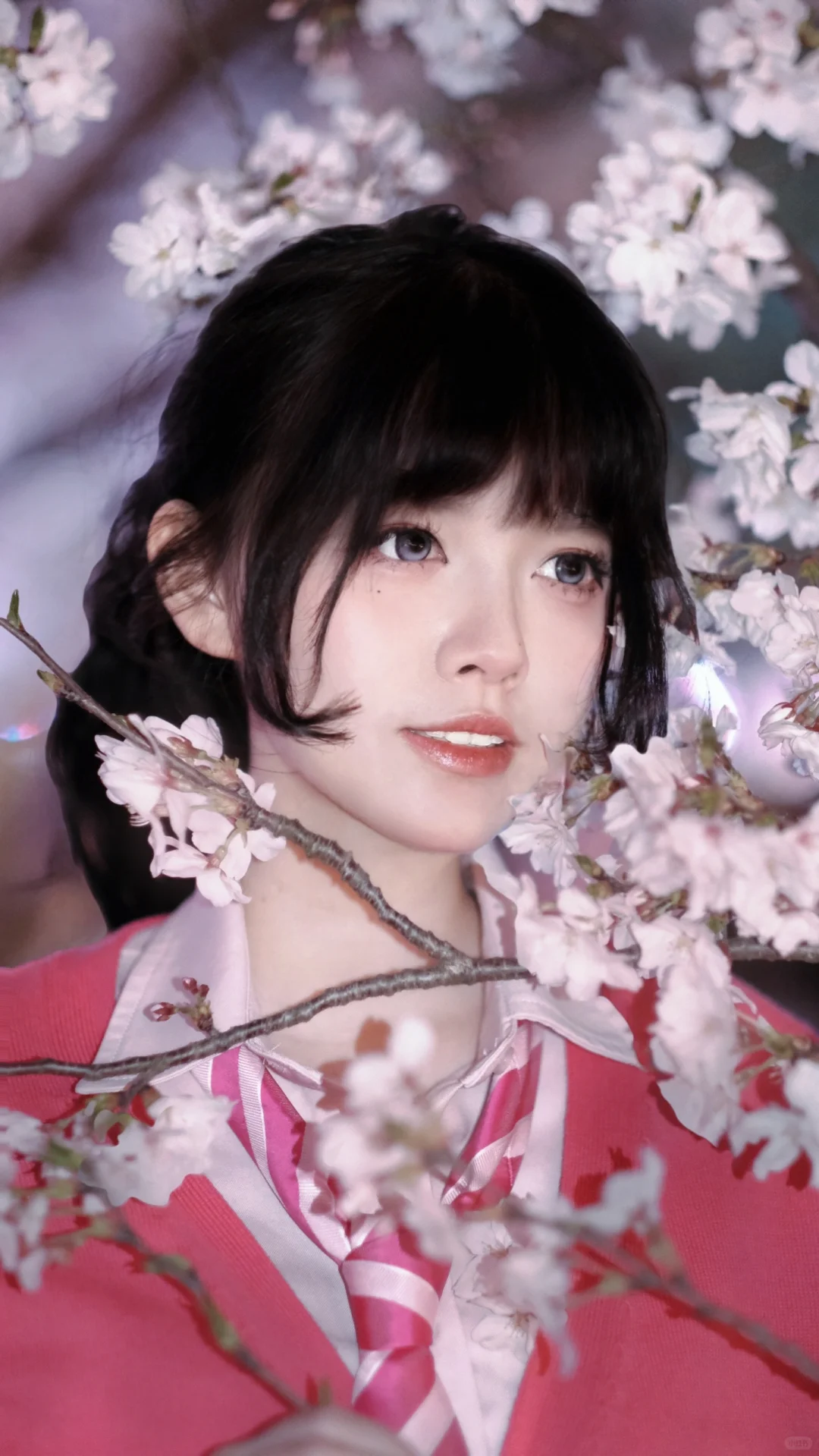 避雷鼋头渚这个摄影师，在景区随便找的