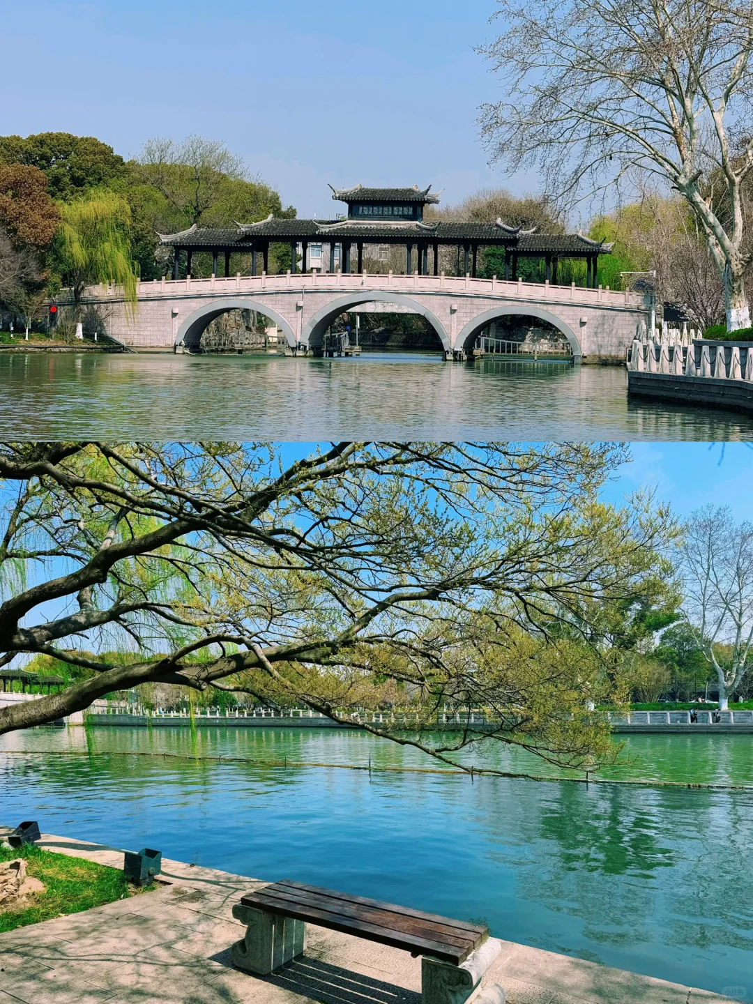 踏青赏花，上海周边人少景美的诗意画卷