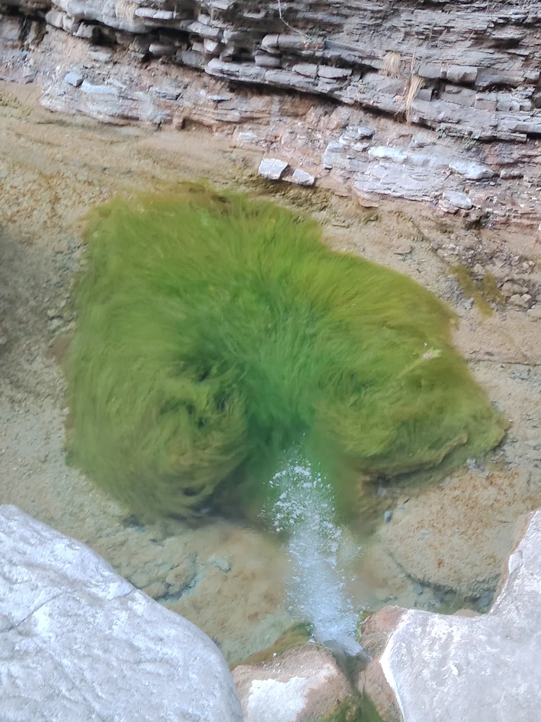 被青山绿水治愈的一天