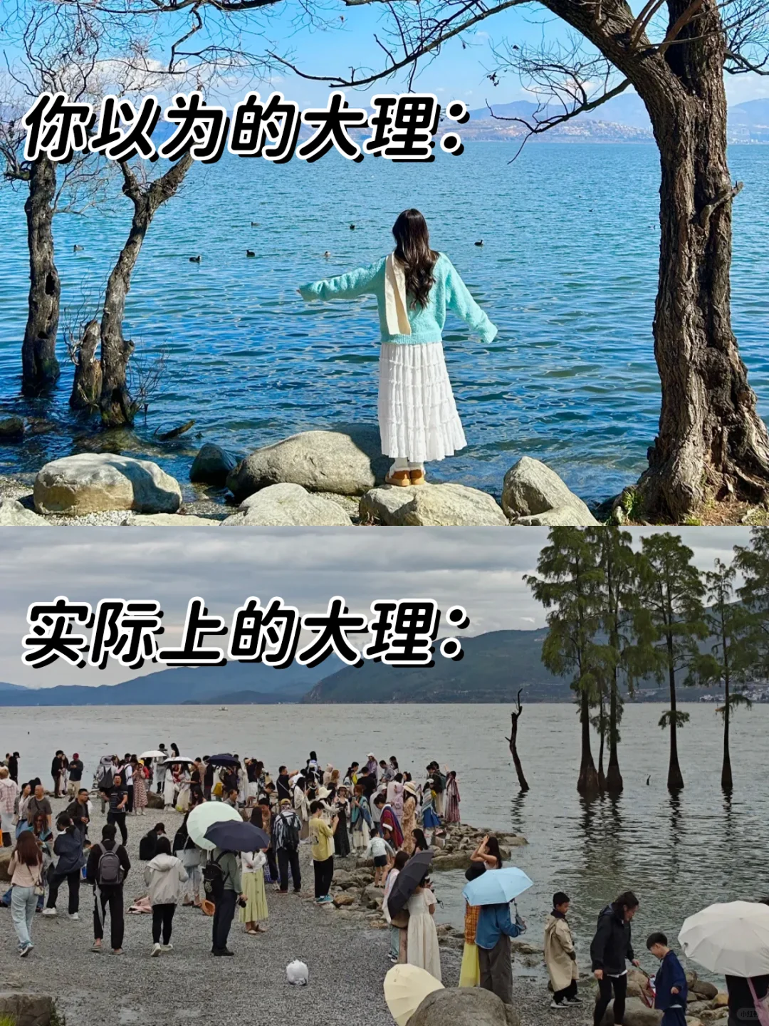 云南旅游现状,近期去的姐妹不要被XHS骗了