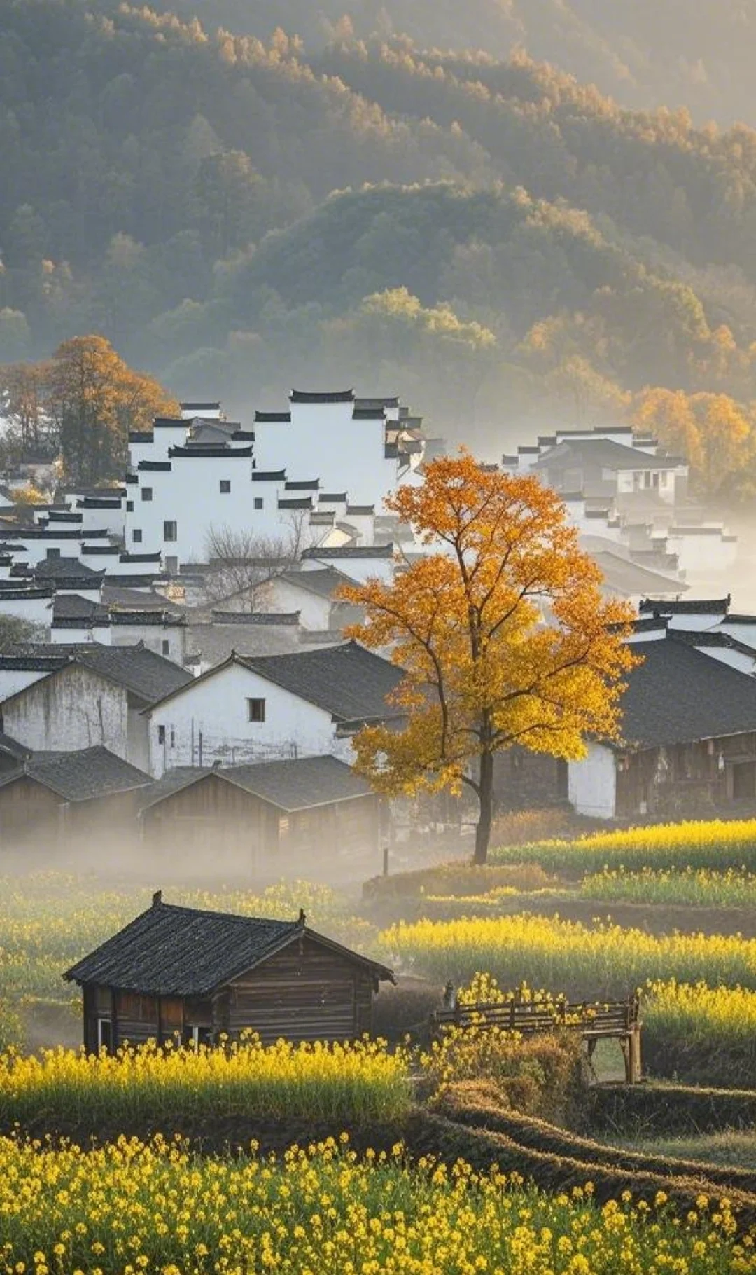 翻山越岭 走入画卷（黟县）