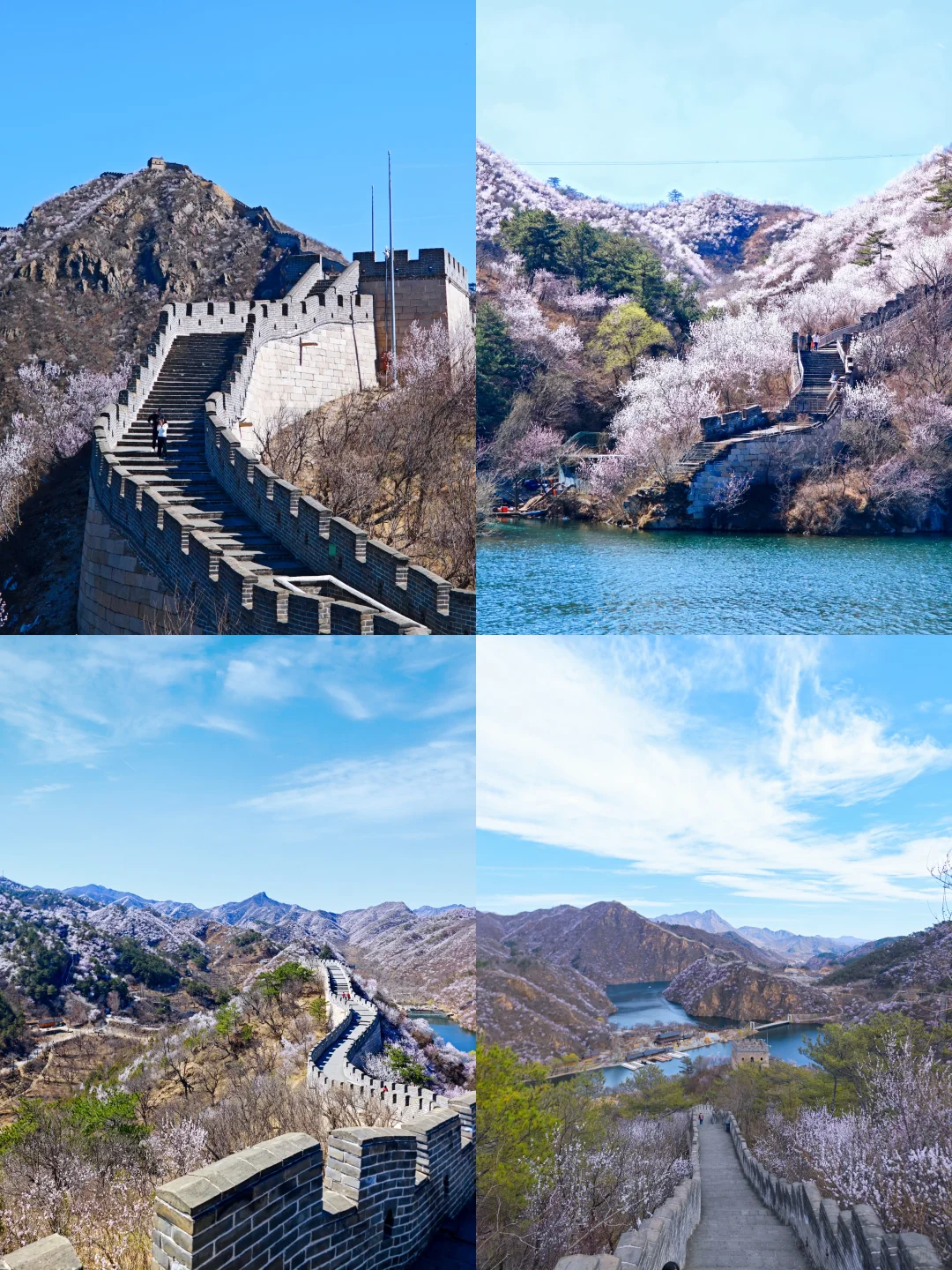 3.24实拍丨在北京我找到了林芝的平替