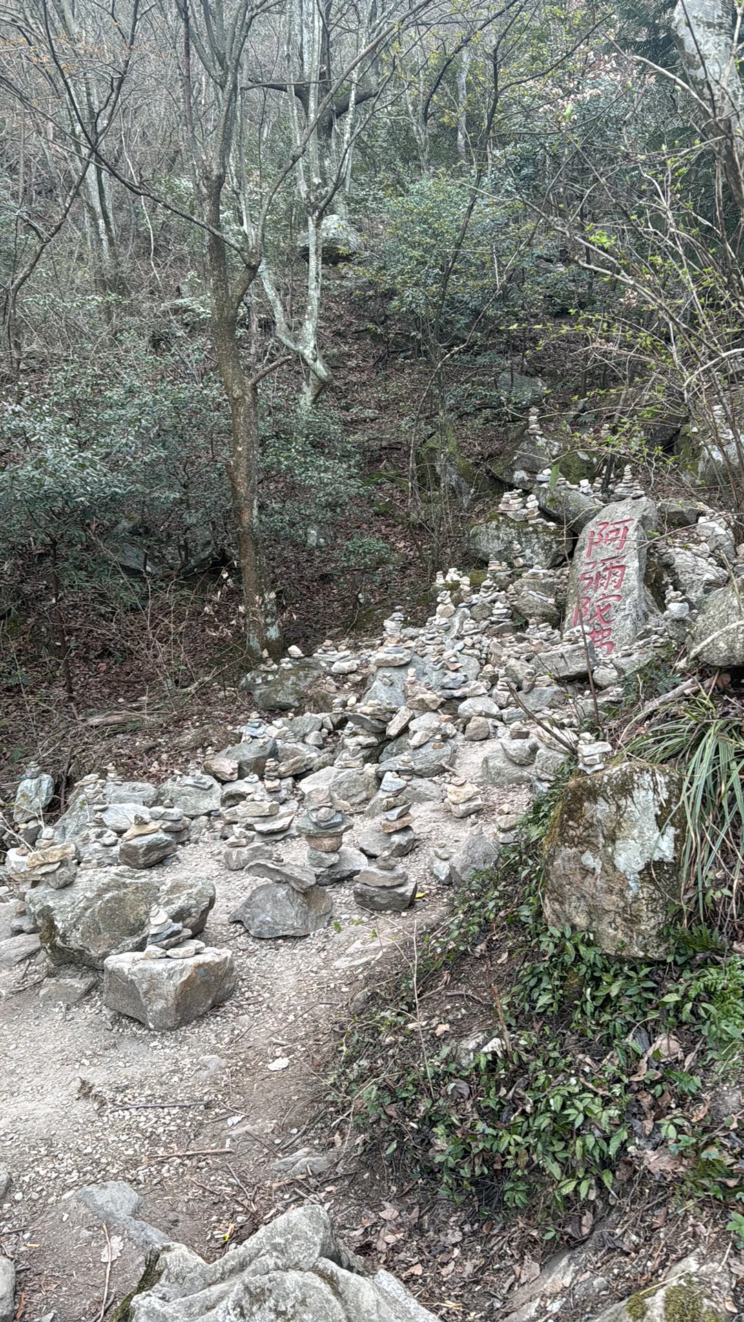 庐山已回，单人一日从好汉坡徒步出发东门下