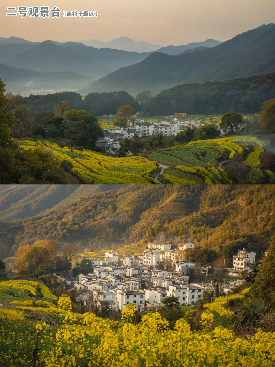 堵车上不去？婺源江岭的打开方式应该是这样！