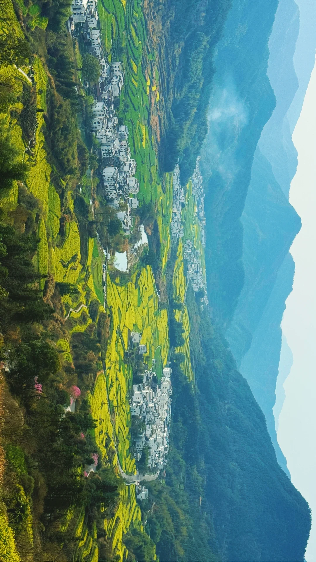 江岭溜腿的仨小时🫴🏻