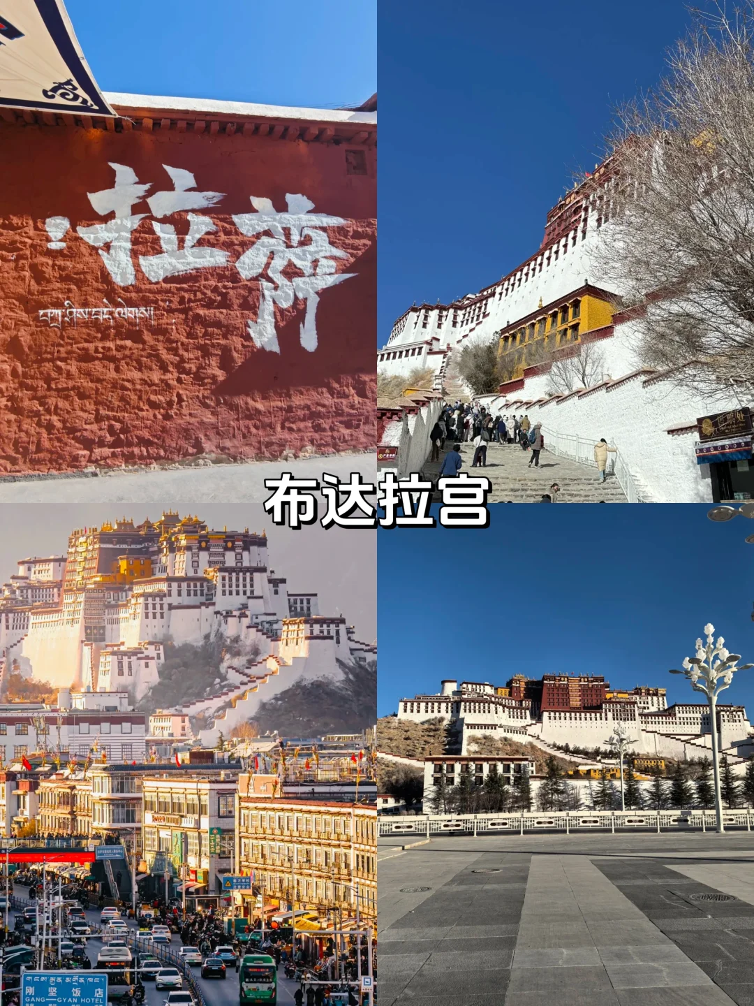 西藏 7 天 6 晚游🌈人均仅花💰4K+