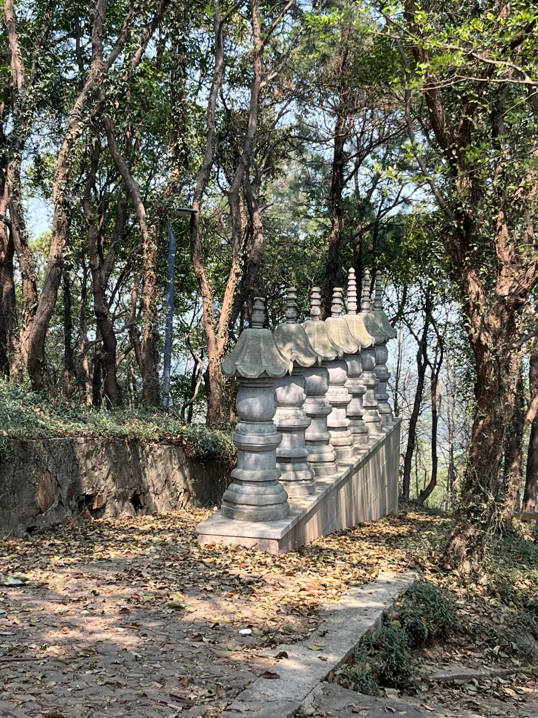 🚄上海周中徒步｜苏州莫厘峰小环线吸氧记