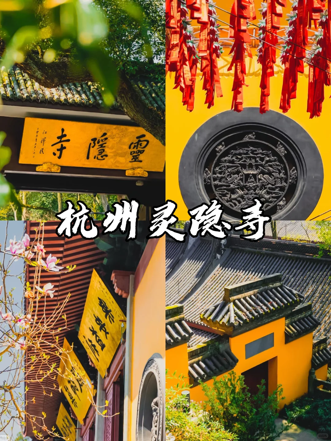 三月下江南,感受下苏杭的春明景和🌸