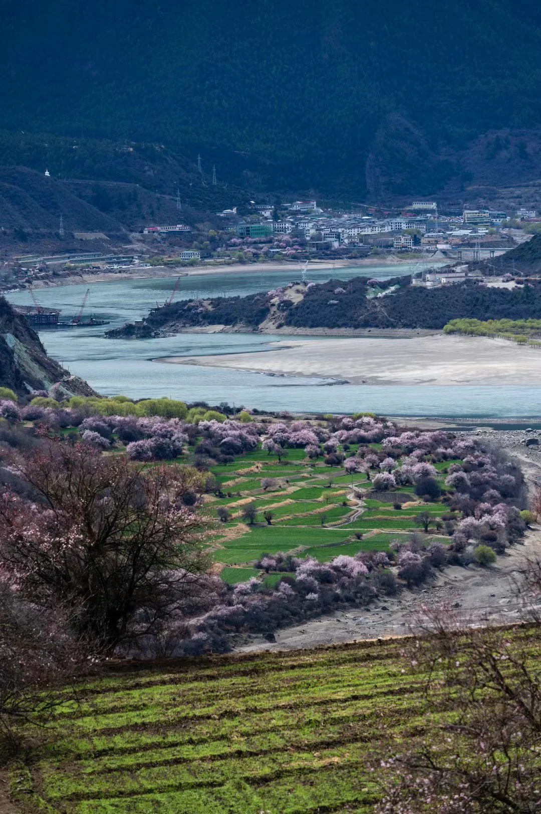 林芝索松村｜赴一场雪山下的桃花盛宴