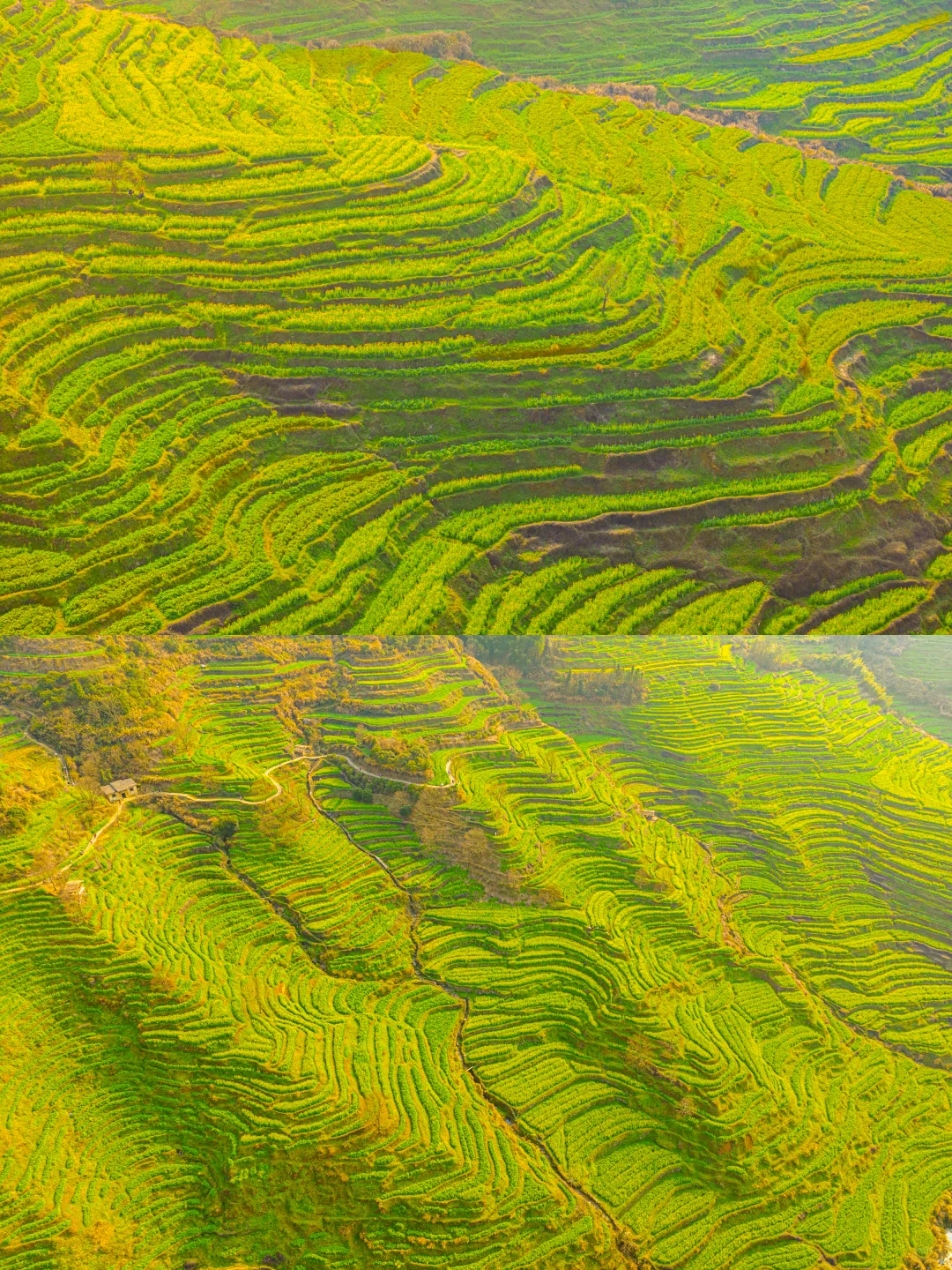 和城市绝交的2天！一起走进最美古村的春天