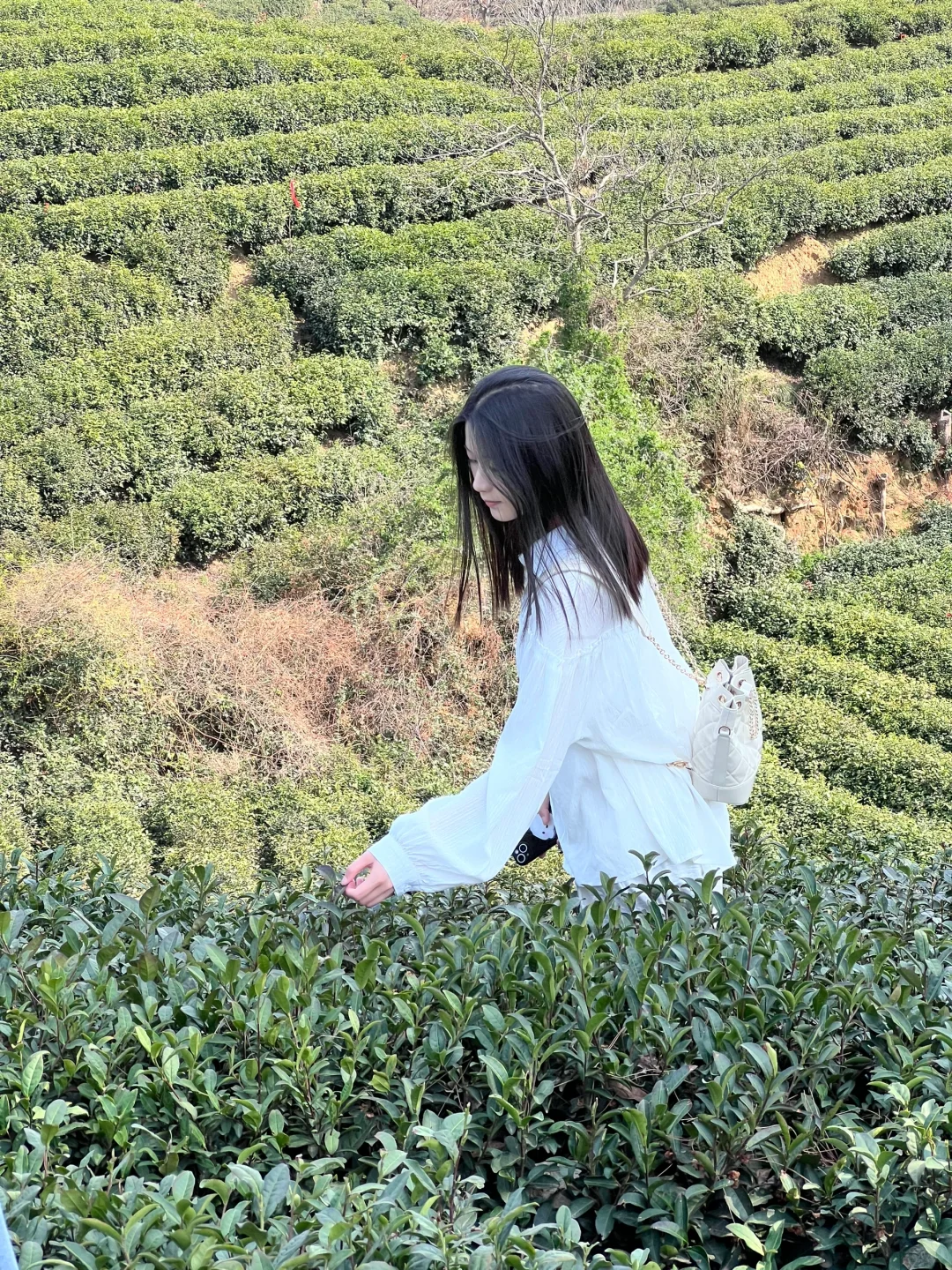 信阳文新茶村一日游🍃