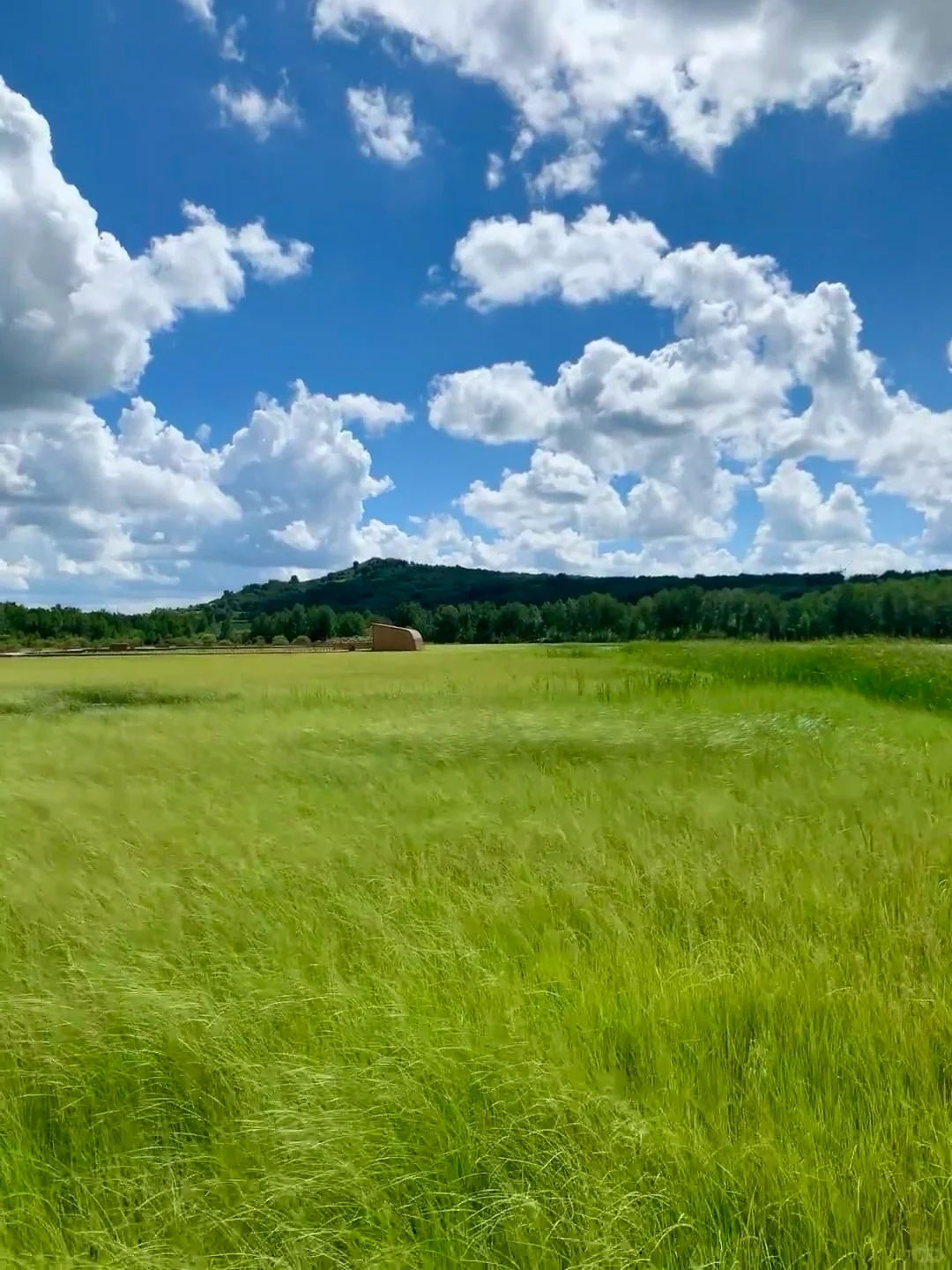 人生建议：6-8 月有空一定得去内蒙古‼️